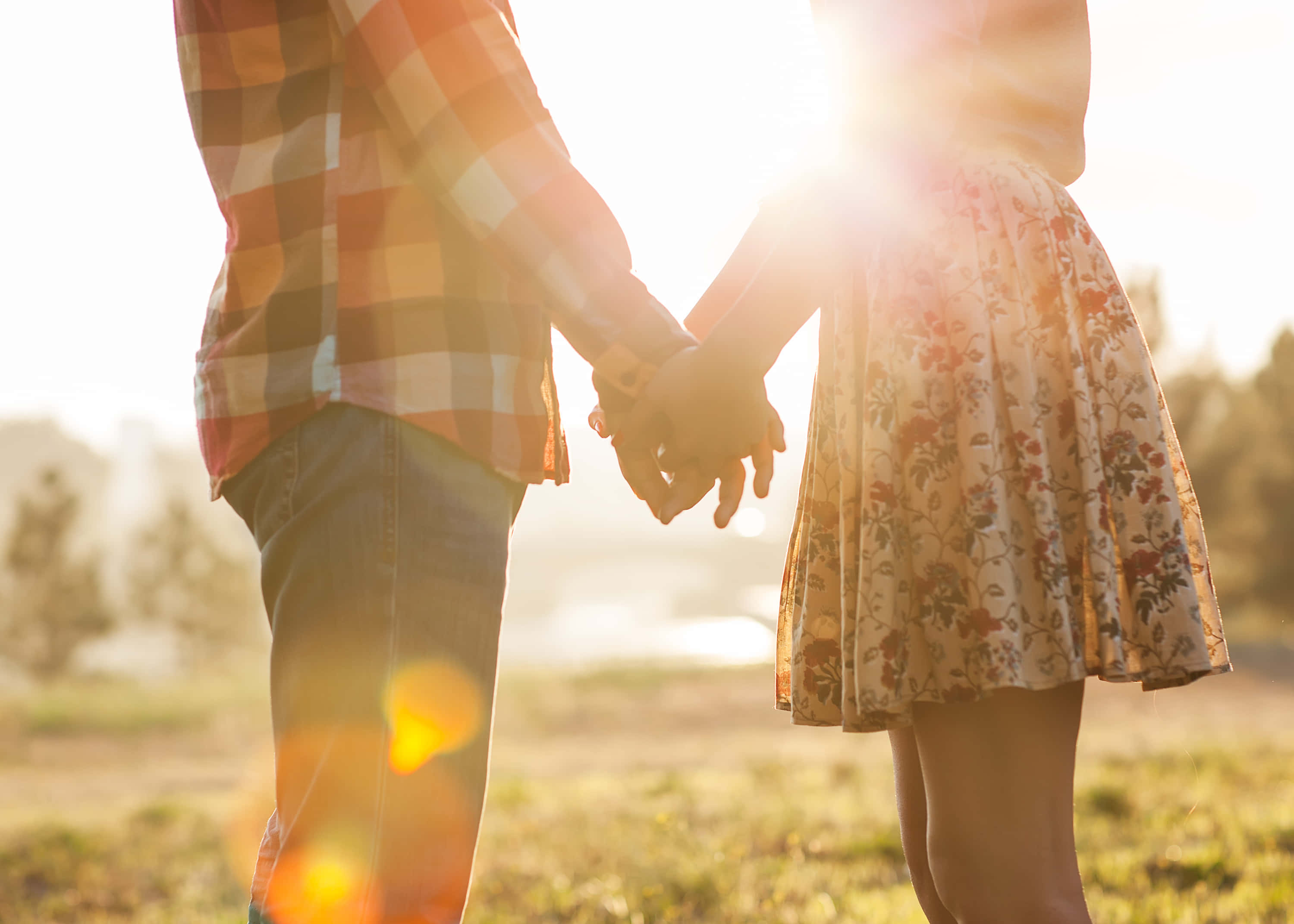 Couple Holding Hand 桌布 壁紙 — 一對情侶在草地上牽手，背光襯托著金色的日落光線。