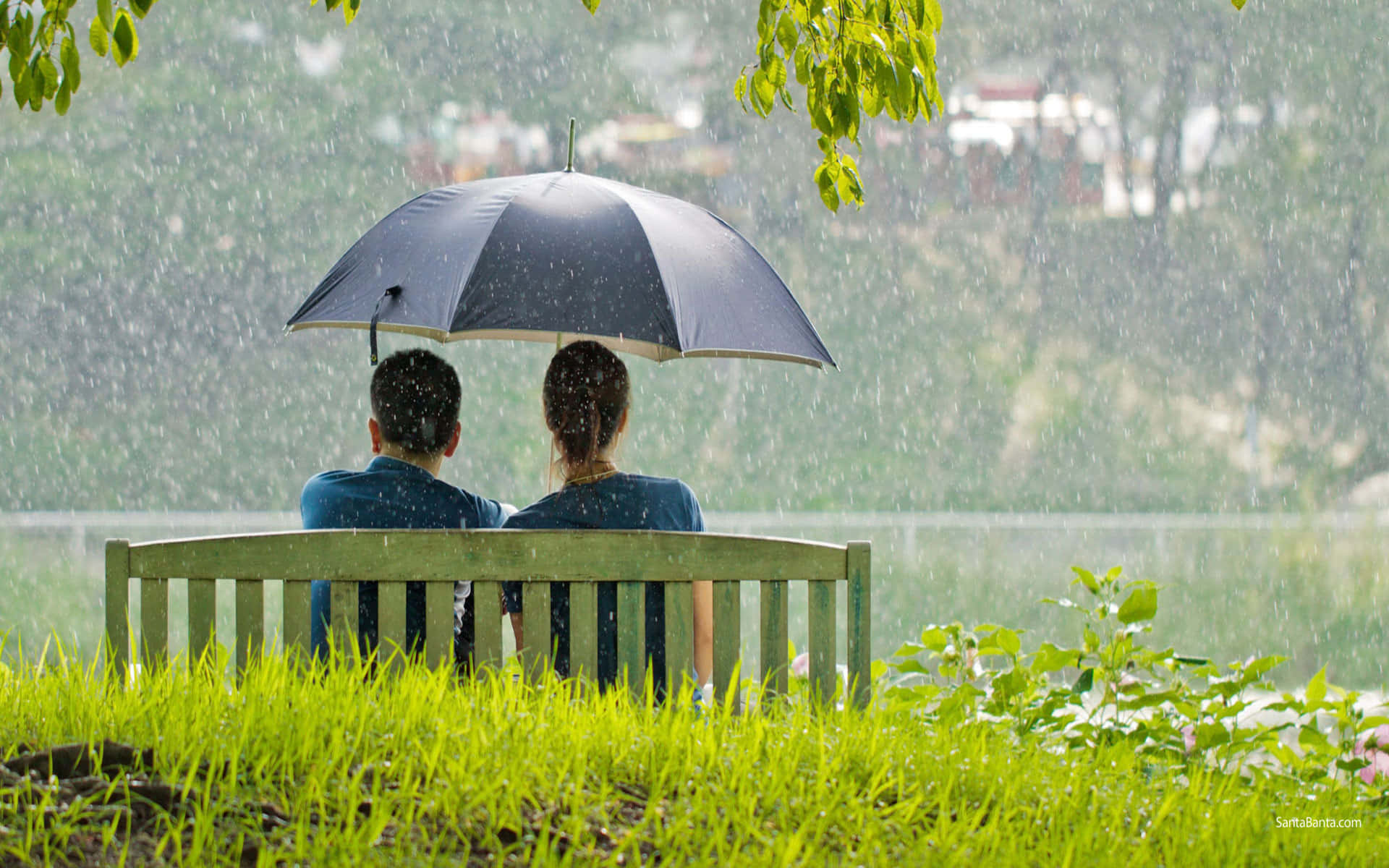 Umbrella 桌布 壁紙 — 一對情侶在草地公園的木長椅上共享一把黑色雨傘，在溫和的暴風雨中。