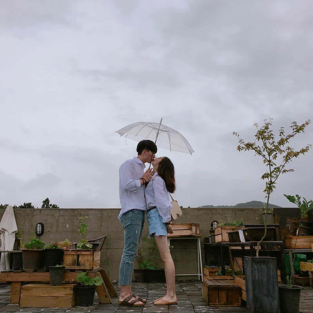Couples 桌布 壁紙 — 一對情侶在透明雨傘下親吻，身處一個被盆栽植物和木箱包圍的雨中屋頂花園。