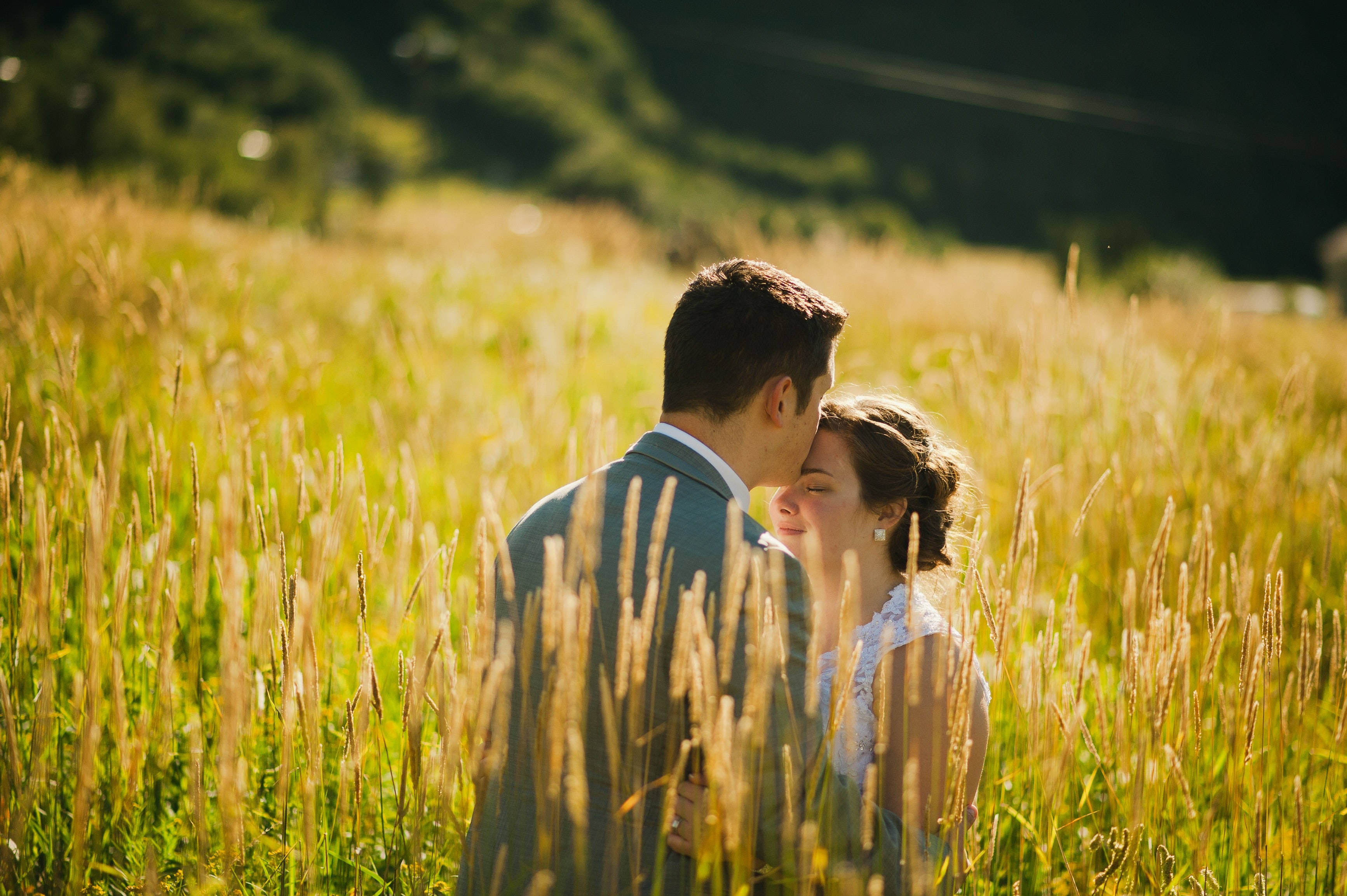 romantic kiss 桌布 壁紙 — 一對情侶在陽光明媚的高大金色草地上溫柔擁抱，背景是柔和散景。