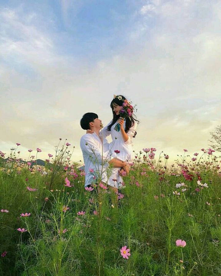 Korean Couple 桌布 壁紙 — 一對情侶在陽光普照的粉紅波斯菊花田裡擁抱，背景是柔和藍天和縷縷白雲。