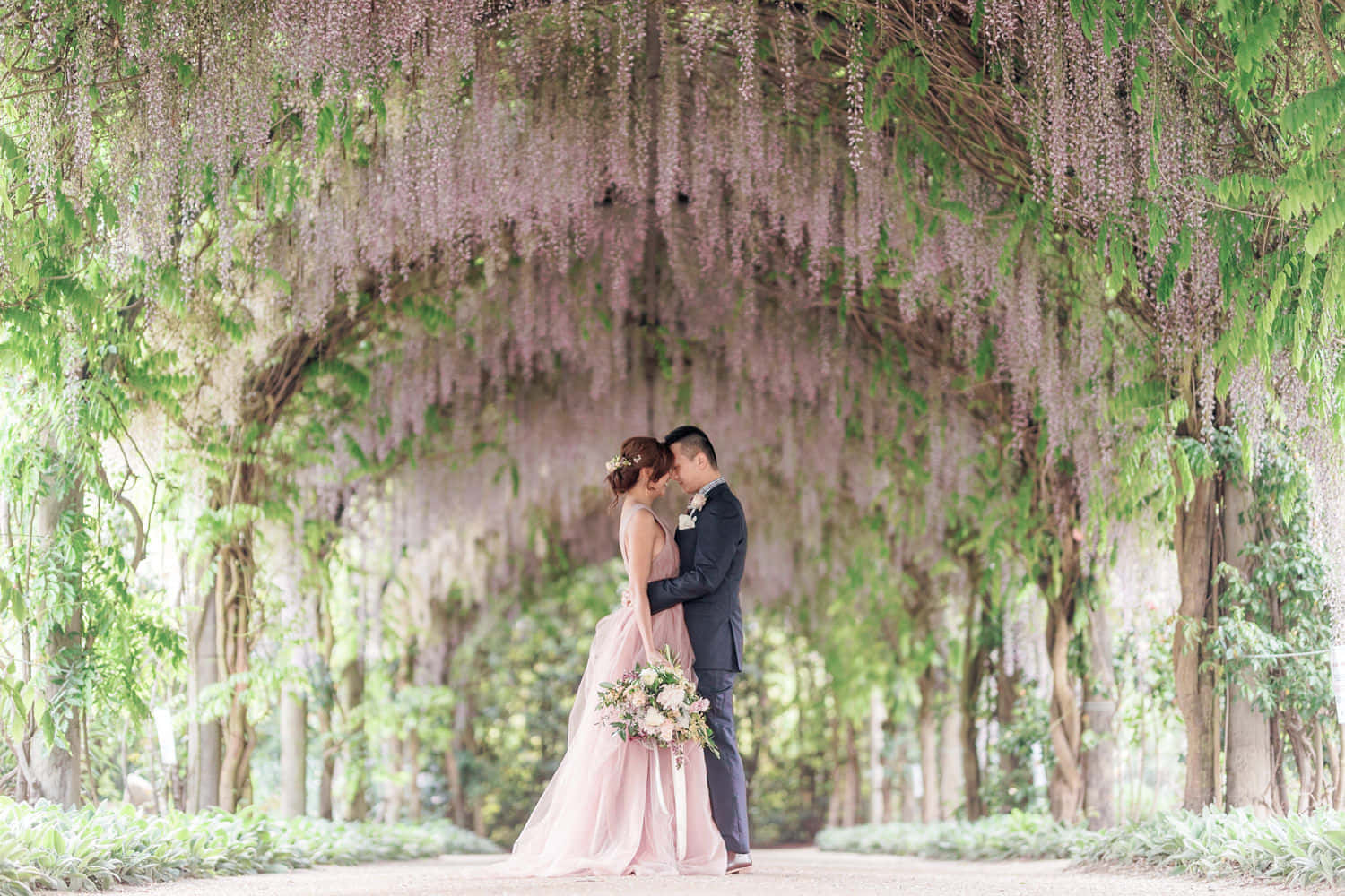 Garden Wedding 桌布 壁紙 — 一對情侶在陽光普照的花園小徑上，於茂密的紫色紫藤花瀑布般的樹冠下擁抱。