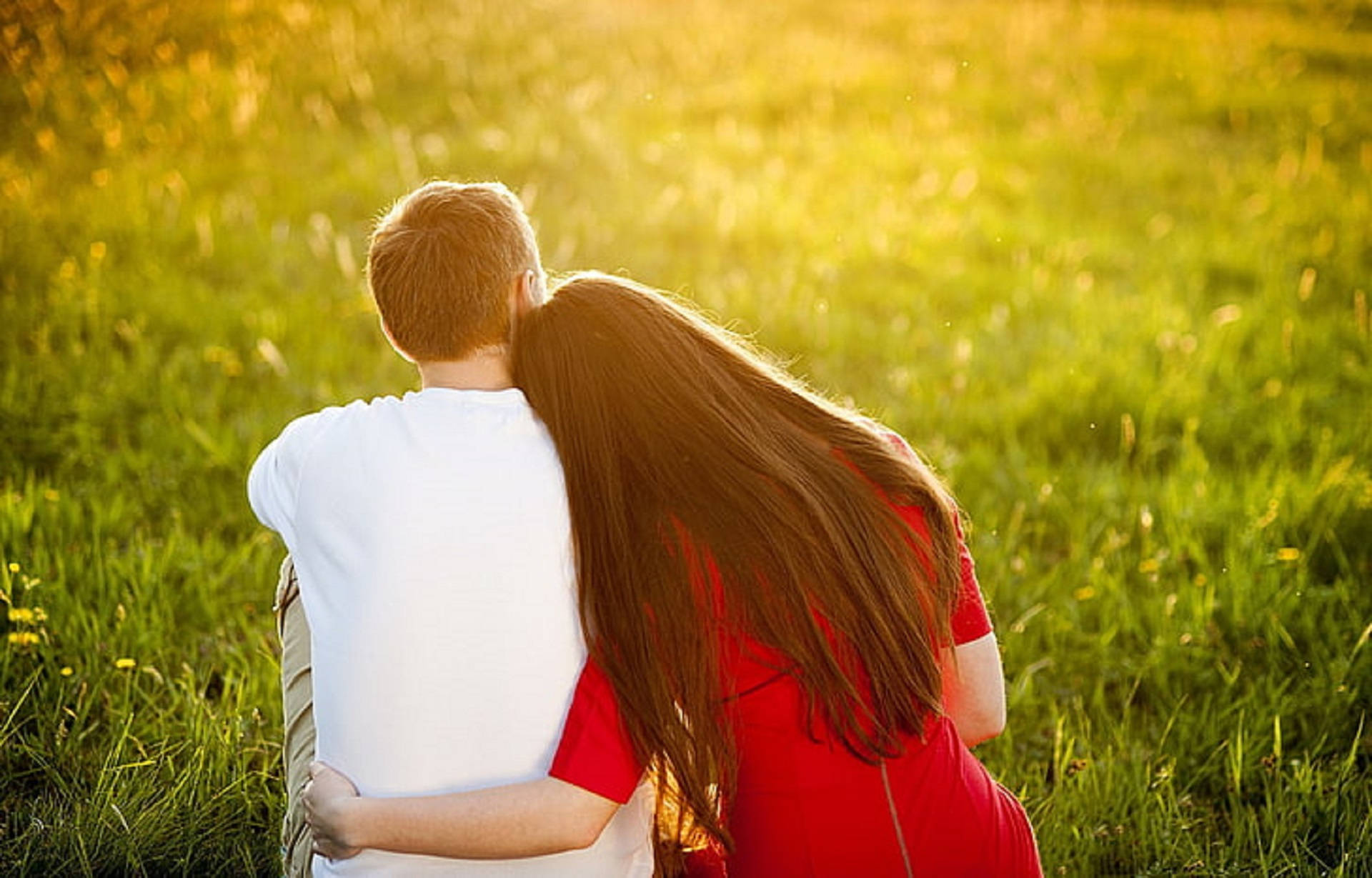 Romantic Love 桌布 壁紙 — 一對情侶在陽光照耀的草地上從後擁抱，金色光芒灑滿整個場景。