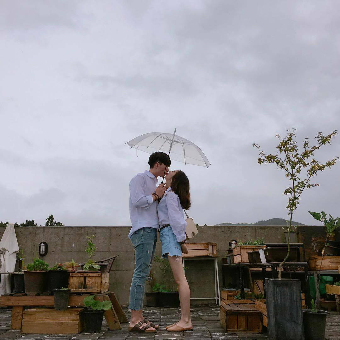 可愛情侶 桌布 壁紙 — 一對情侶在雨中的屋頂花園裡，在透明雨傘下接吻，周圍有盆栽植物和木箱。