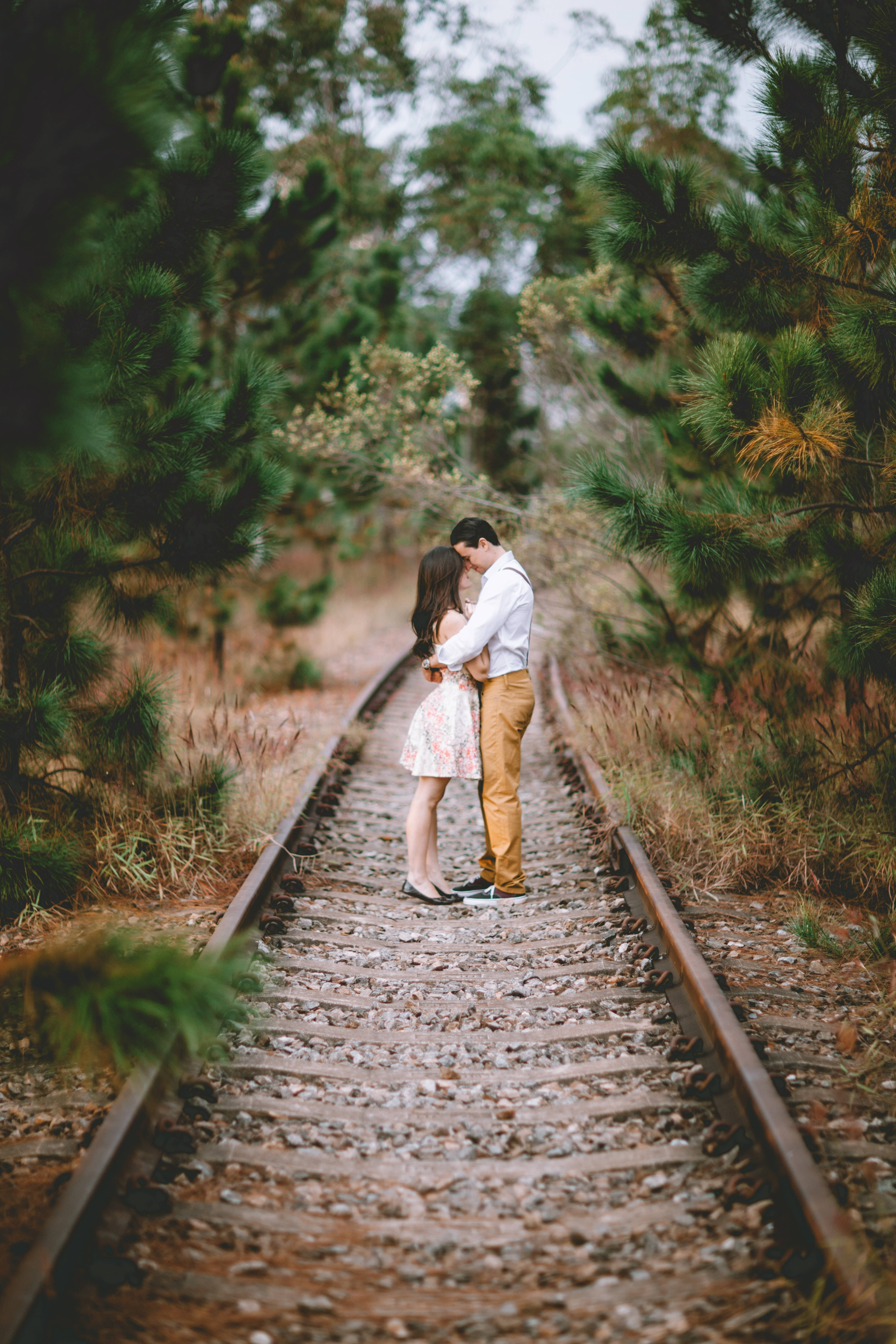 couple love 桌布 壁紙 — 一對情侶在風化的火車軌道上溫柔擁抱，兩旁是茂密的松樹，柔和日光灑落。