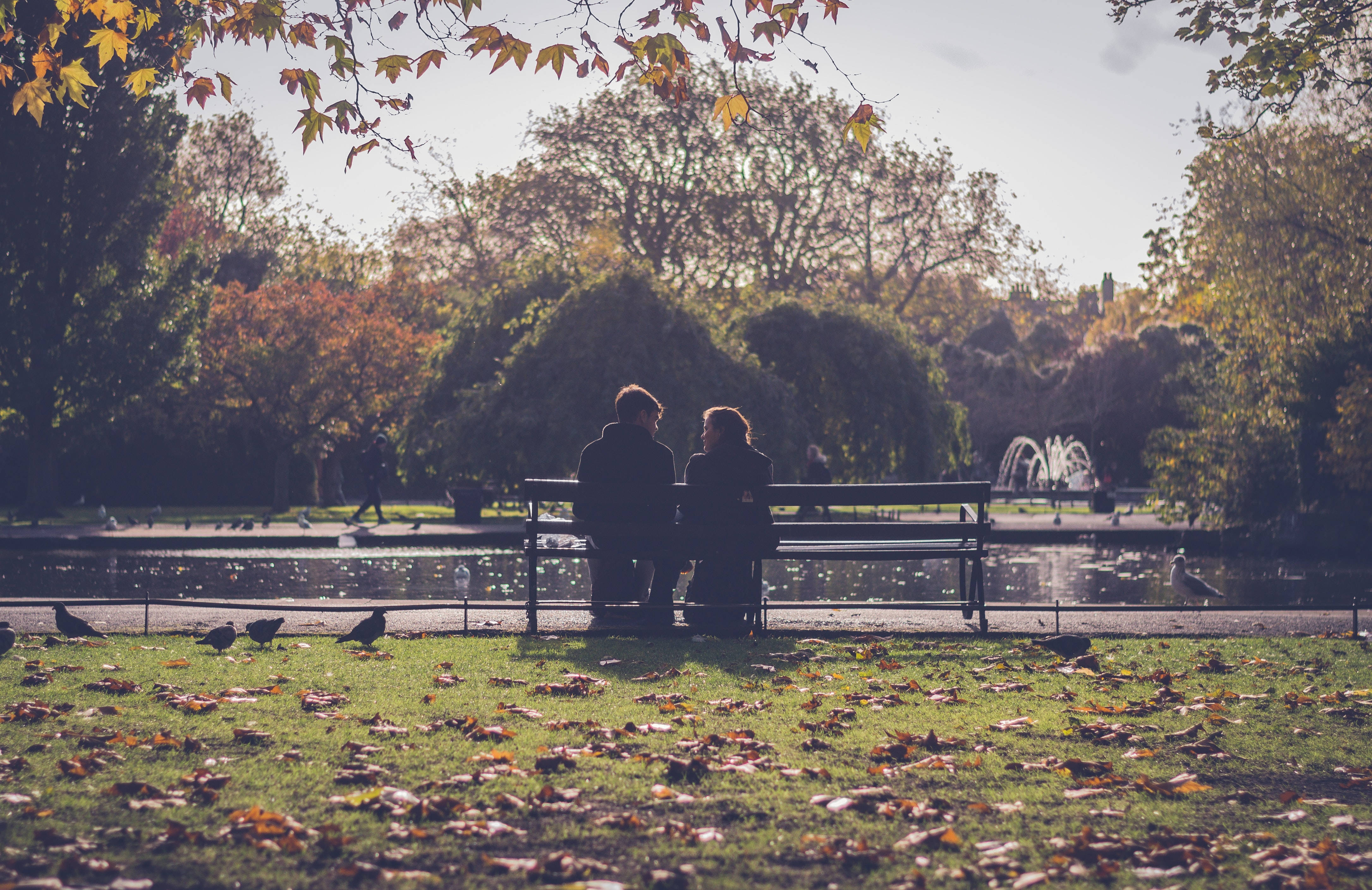 Romantic Love 桌布 壁紙 — 一對情侶坐在公園長椅上，秋葉環繞，陽光穿過樹木，鳥兒在附近覓食。