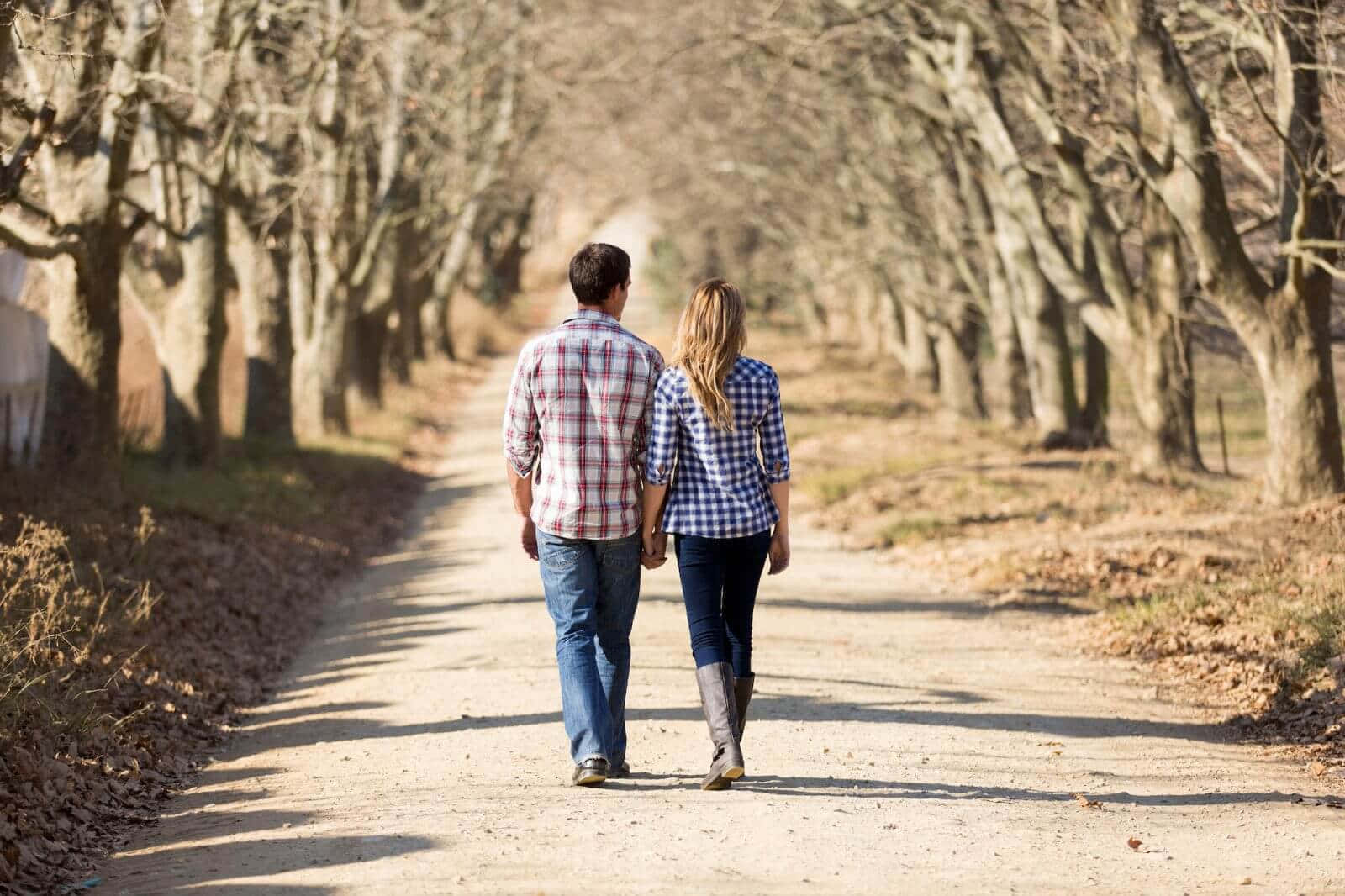 couple love 桌布 壁紙 — 一對情侶手牽手，在晚秋陽光下的泥土小徑上漫步，兩旁是光禿禿的樹木。