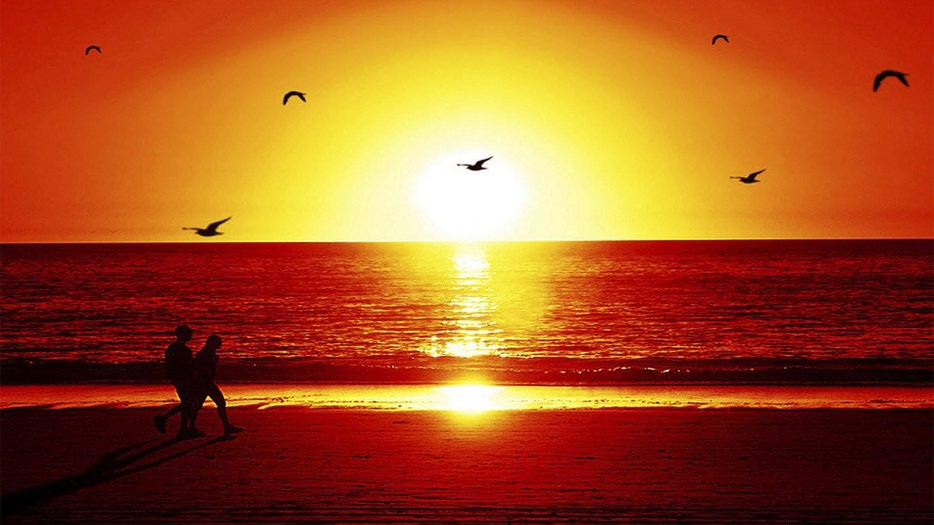 海灘日落 桌布 壁紙 — 一對情侶的剪影沿著海灘漫步，熾熱的夕陽將天空和海洋染成鮮豔的紅色和橙色，鳥兒在頭頂飛翔。