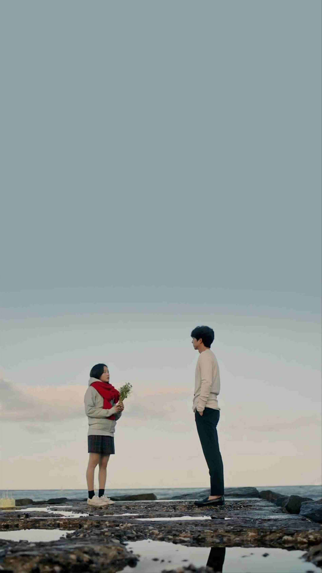 kdrama 桌布 壁紙 — 一對情侶站在岩石海邊碼頭，在黃昏時分於柔和粉彩天空下交換花束。