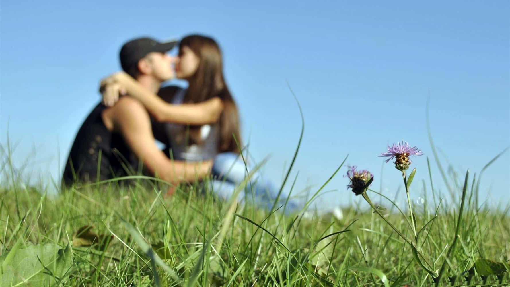 Girlfriend And Boyfriend 桌布 壁紙 — 一對模糊的情侶在晴朗藍天下長滿草的山丘上接吻，前景有清晰的野花。