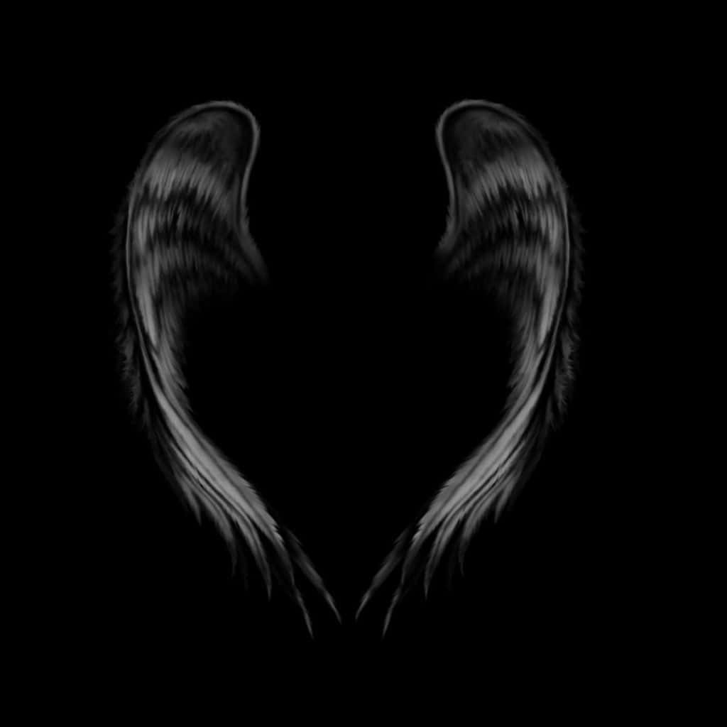 Angel Wings 桌布 壁紙 — 一對深色羽毛翅膀在黑色背景上形成心形，採用單色調。