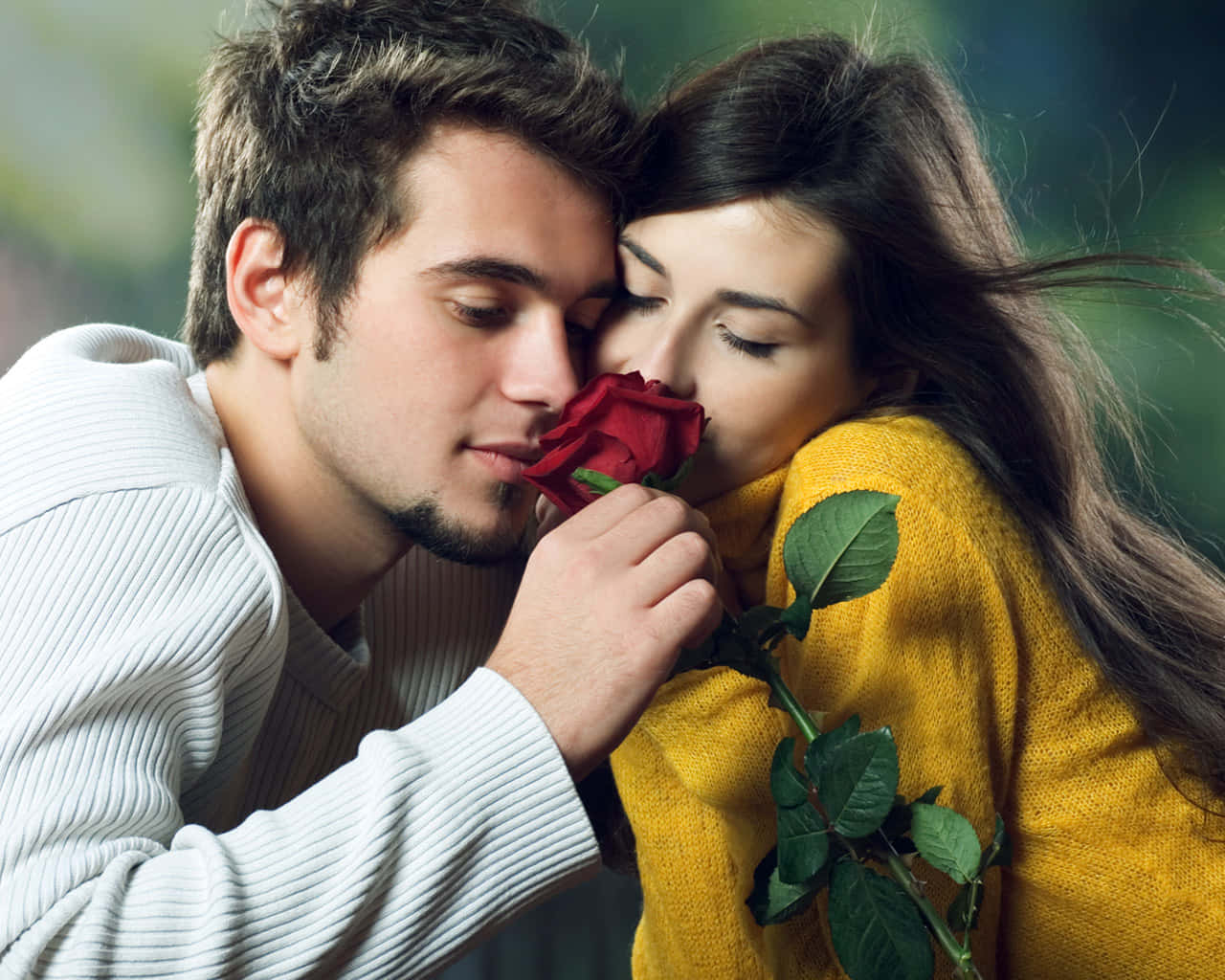 Romantic Love 桌布 壁紙 — 一對溫柔的情侶在柔和的戶外擁抱中分享一朵紅玫瑰，閉上眼睛，沉浸在靜謐的愛意中。