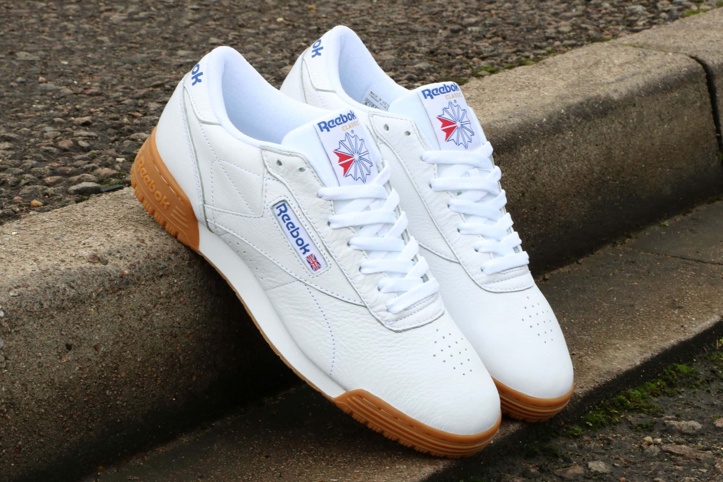 Reebok 桌布 壁紙 — 一對白色 Reebok 運動鞋搭配橡膠鞋底，放在風化的混凝土路緣上，背景是礫石。