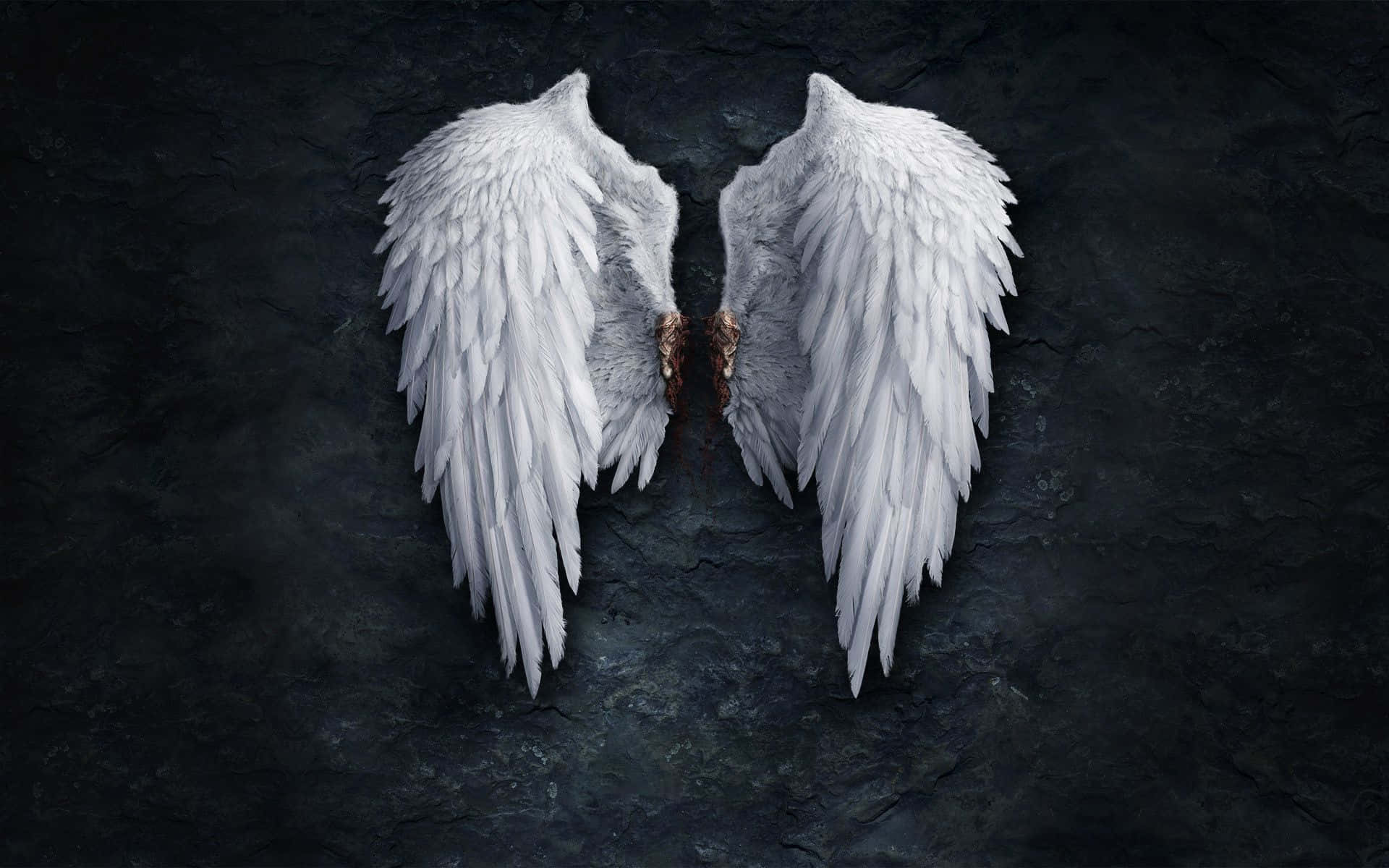 Angel Wings 桌布 壁紙 — 一對精緻的白色天使翅膀，帶有棕色羽毛根部，靠在深色紋理石質背景上。