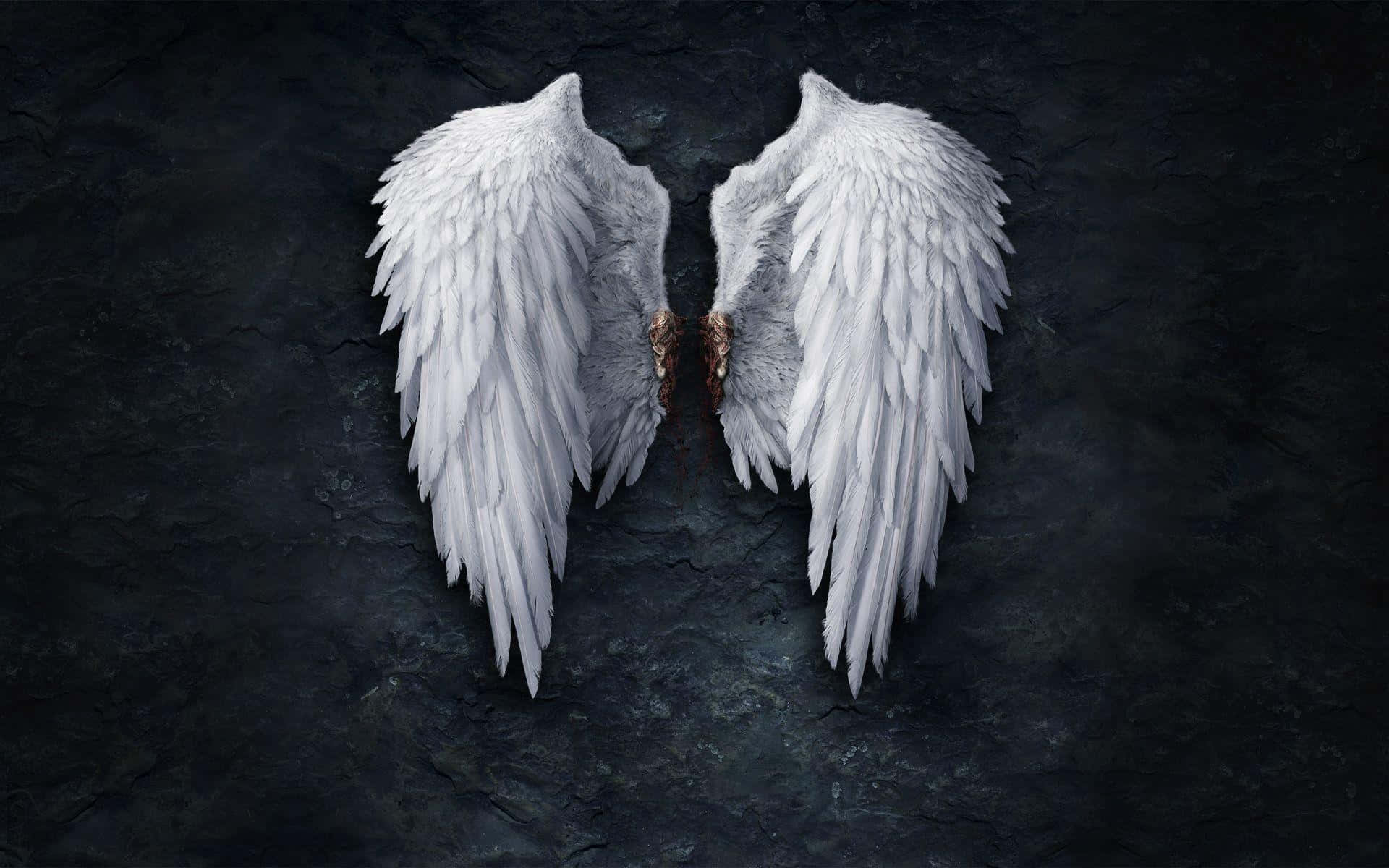 Angel Wings 桌布 壁紙 — 一對精緻的白色天使翅膀，帶有棕色羽毛根部，靠在深色裂紋石背景上。