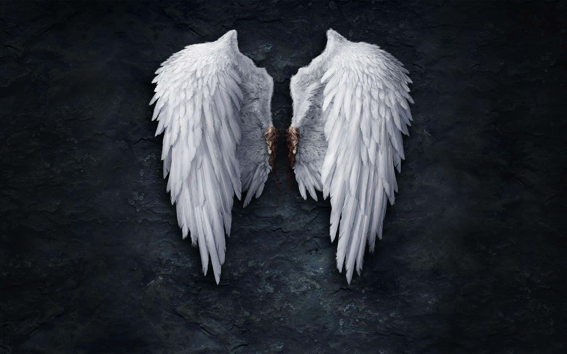 Wings 桌布 壁紙 — 一對精緻的白色天使翅膀，帶有棕色羽毛根部，倚靠在深色裂紋石背景上。