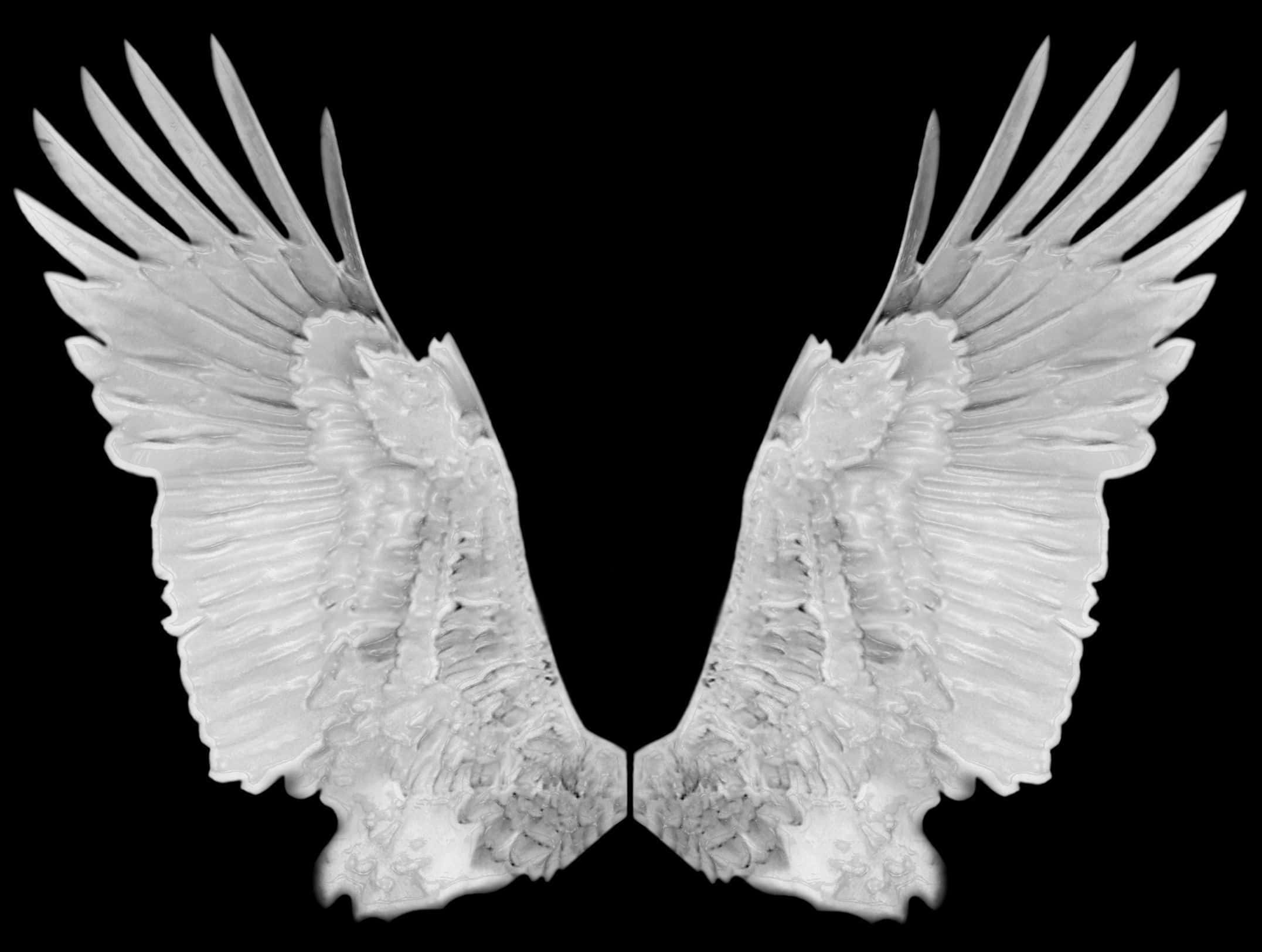 Angel Wings 桌布 壁紙 — 一對精緻的白色天使翅膀在純黑背景下展開。