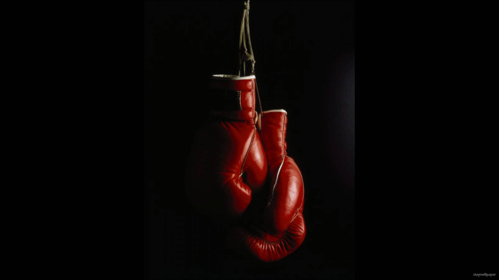 Boxing 桌布 壁紙 — 一對紅色拳擊手套懸掛在黑暗背景中，被戲劇性的聚光燈照亮。