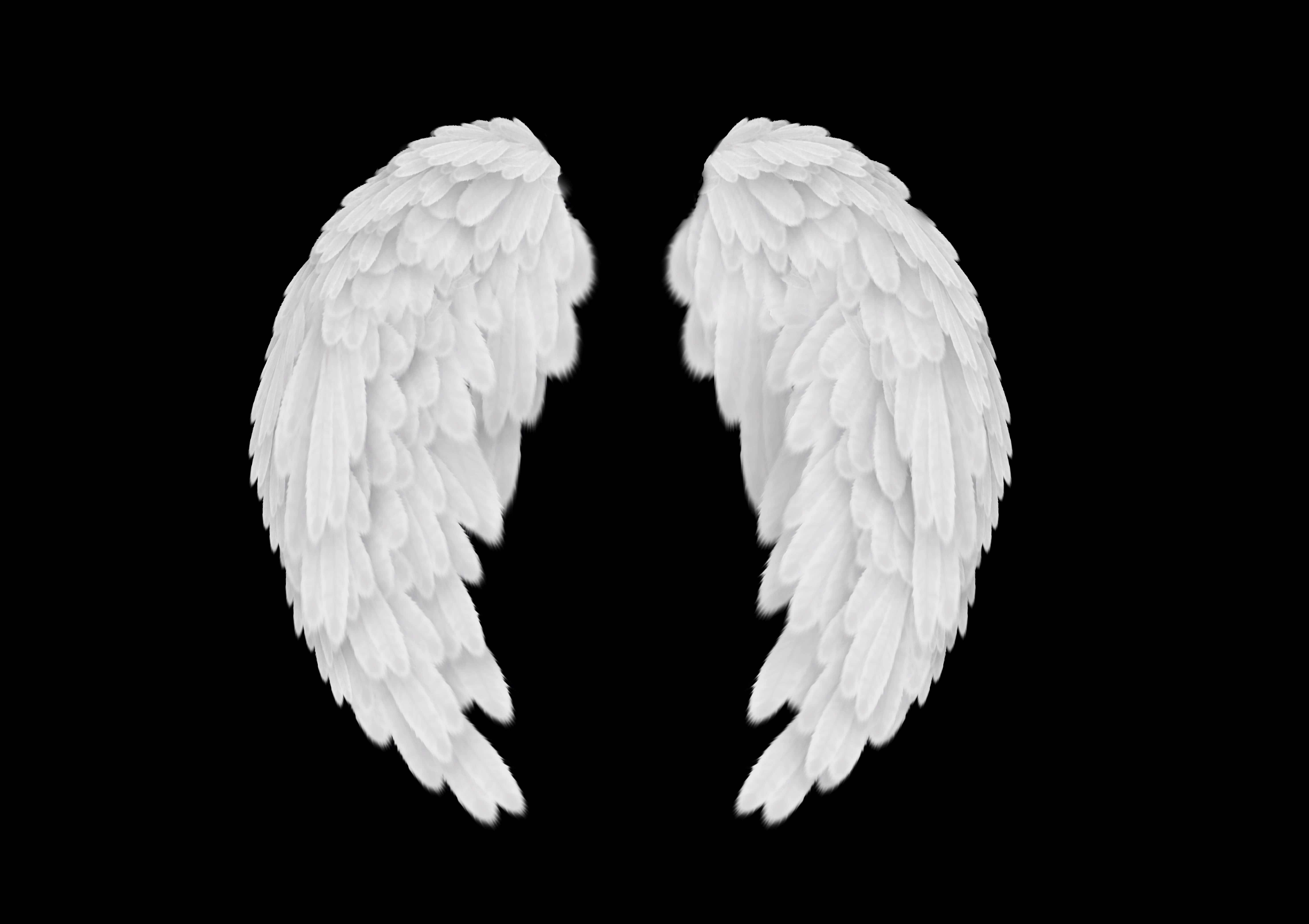 Angel Wings 桌布 壁紙 — 一對純淨的白色天使翅膀，帶有詳細的羽毛紋理，在純黑色背景上鮮明突出。