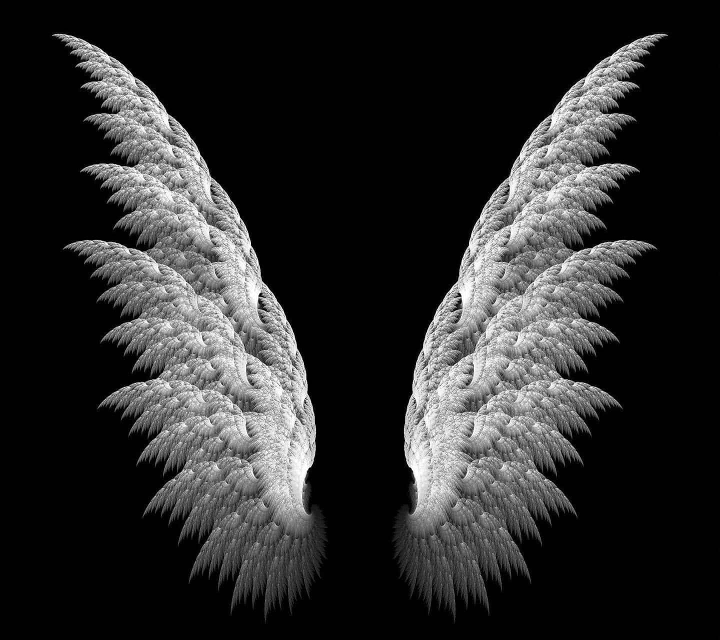 Angel Wings 桌布 壁紙 — 一對細節精緻的單色碎形翅膀，襯以純黑背景。
