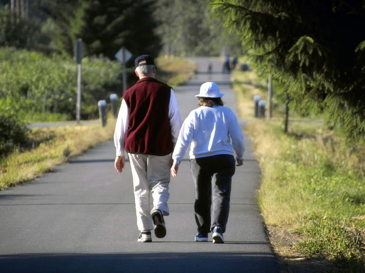 Walking 桌布 壁紙 — 一對老夫婦在陽光明媚的日子裡，手牽手走在綠樹成蔭的鋪砌小徑上。
