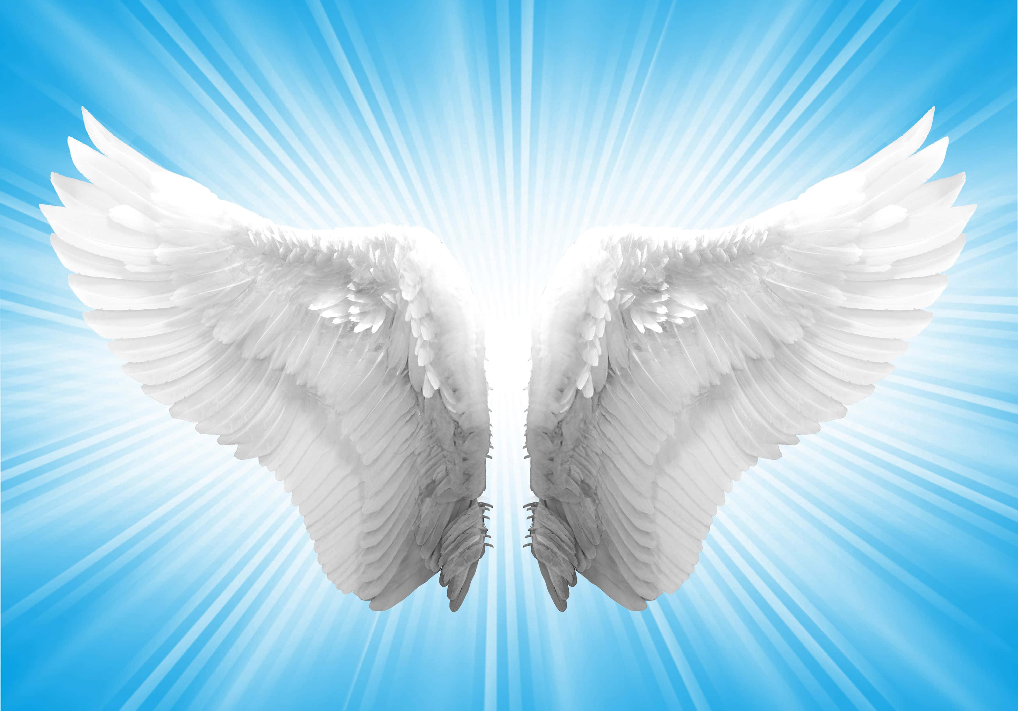 Angel Wings 桌布 壁紙 — 一對莊嚴的白色天使翅膀在燦爛的藍天中展開，伴隨著耀眼的陽光射線。