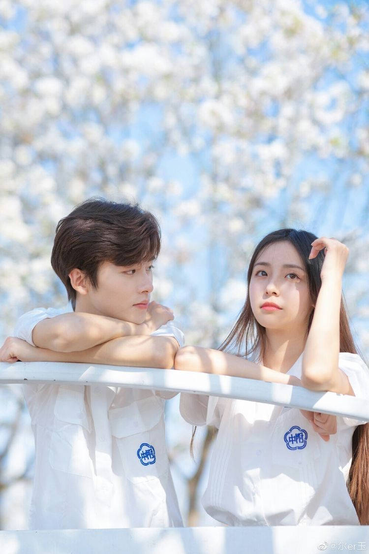 Couples 桌布 壁紙 — 一對身穿白襯衫的年輕情侶，在晴朗藍天下，靠著開滿亮白花朵的樹蔭下的欄杆。