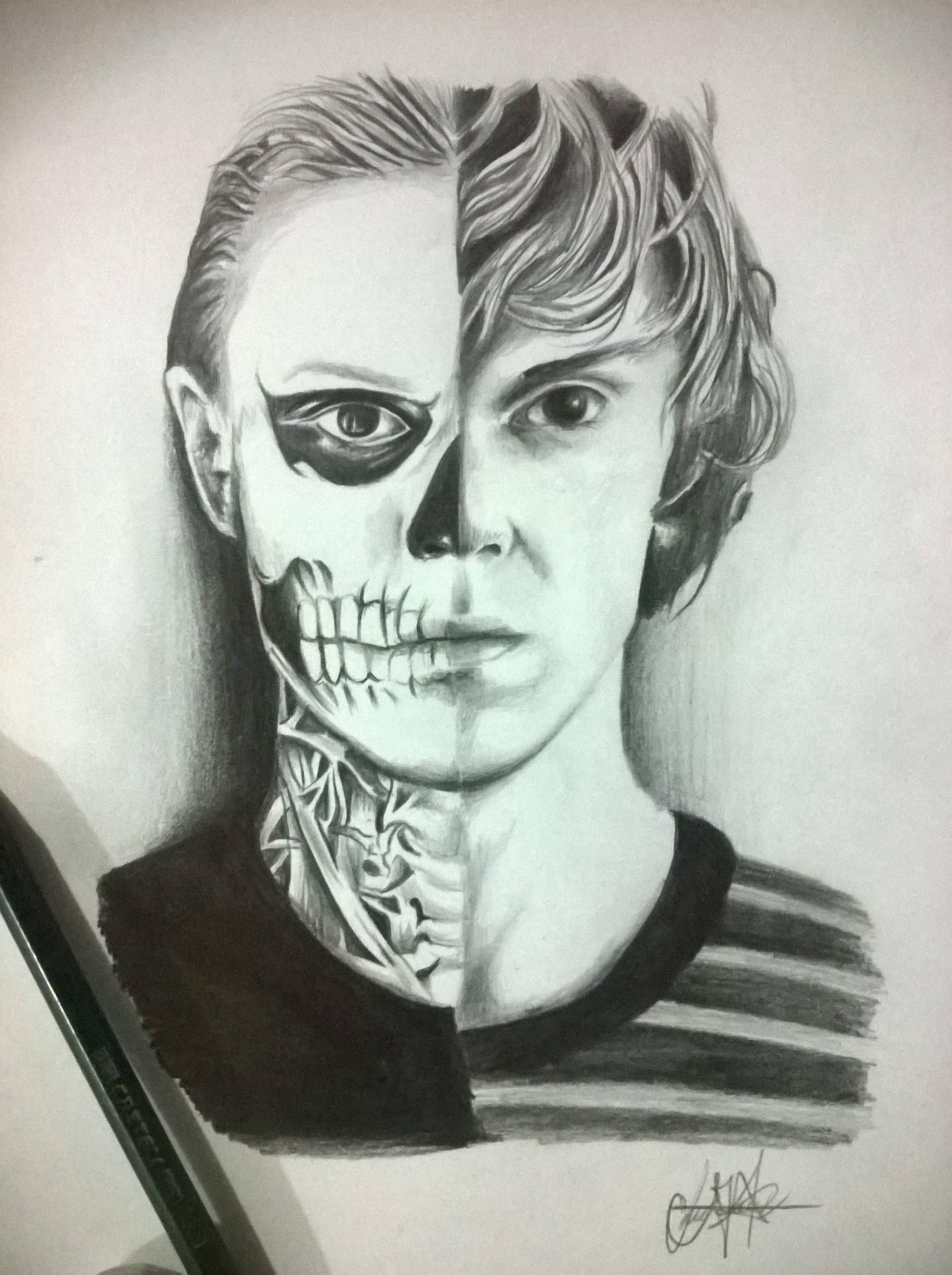 Tate Langdon 桌布 壁紙 — 一幅令人難忘的鉛筆畫，描繪一個人從中間分裂，一側是逼真的臉，另一側是詳細的頭骨。