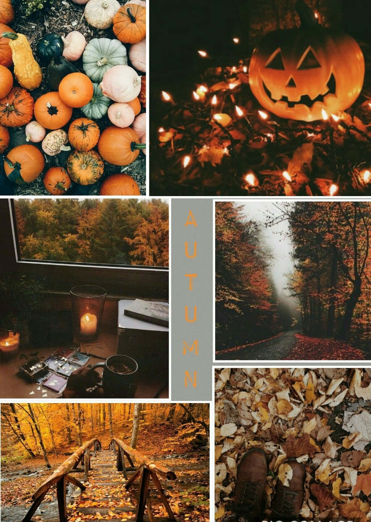 Autumn Collage 桌布 壁紙 — 一幅以溫暖金色色調呈現的秋季場景拼貼畫，包含南瓜、蠟燭、森林小徑和落葉。