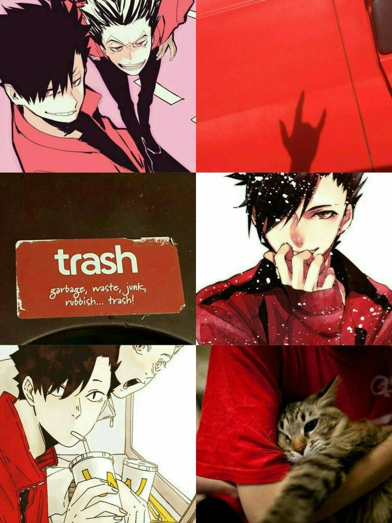 Kuroo 桌布 壁紙 — 一幅以紅色調、垃圾標籤和一隻貓在紅色襯衫上休息為特色的動漫角色和場景拼貼畫。