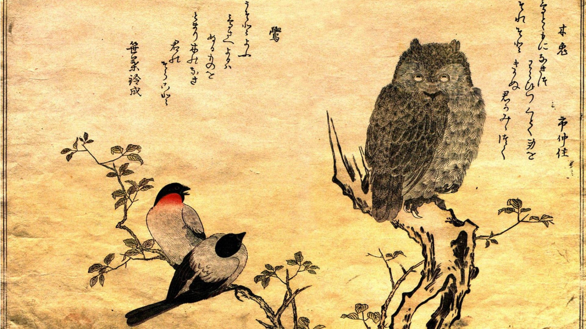 日式 桌布 壁紙 — 一幅優雅的日本水墨畫描繪了一隻貓頭鷹棲息在彎曲的樹枝上，旁邊有兩隻小鳥站在細長的樹枝上，背景是帶有書法的舊羊皮紙。