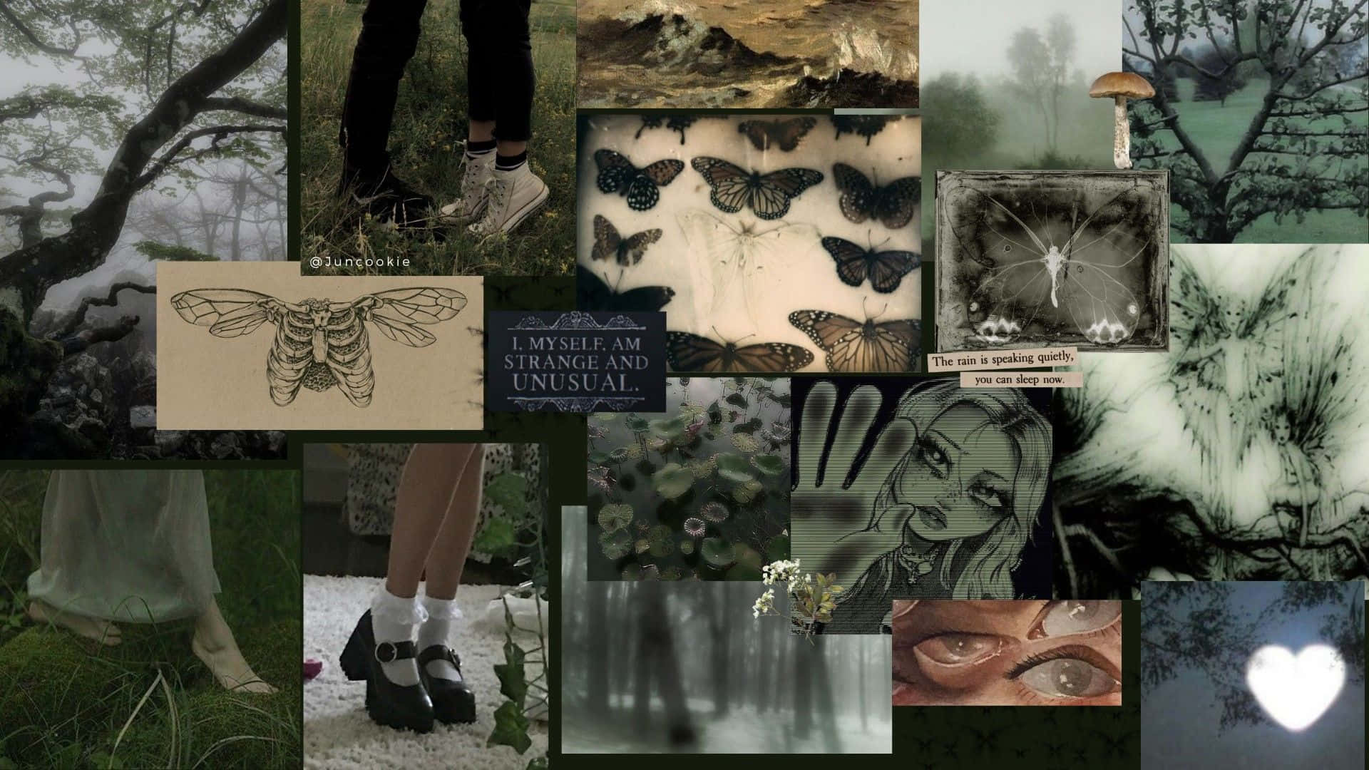 Grunge Aesthetic Mac 桌布 壁紙 — 一幅充滿氛圍感的拼貼畫，融合自然、昆蟲和超現實意象，包含迷霧森林、蝴蝶和一顆發光的心。