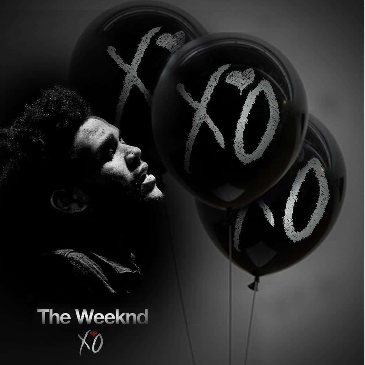 The Weeknd 在深色單色肖像中仰望 XO 氣球。 — 威肯 GIF 壁紙