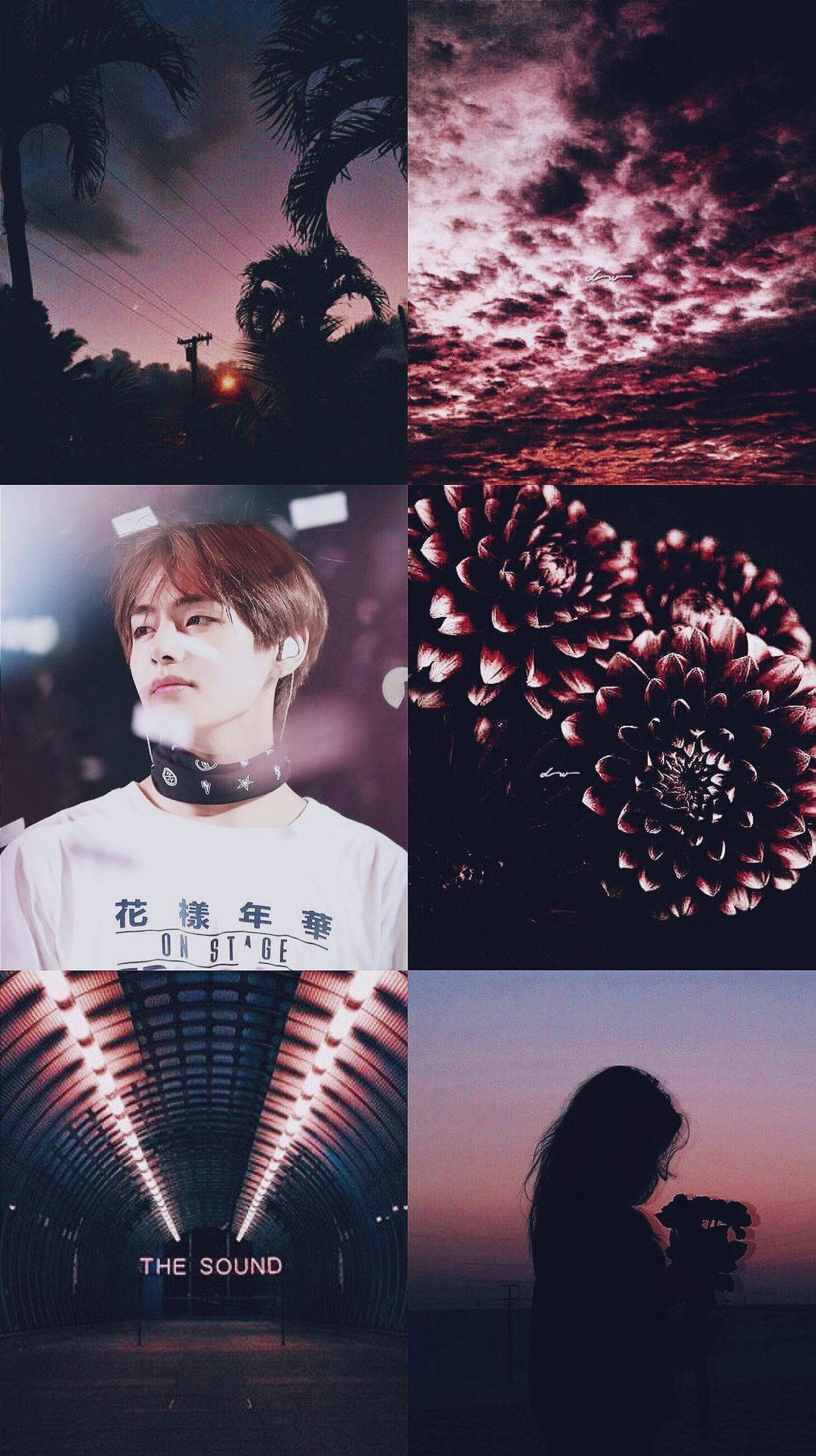 Bts Aesthetic 桌布 壁紙 — 一幅充滿氛圍的六格拼貼畫， featuring 黃昏棕櫚樹、戲劇性的紅雲、隧道中的人影，以及暮色天空下的剪影。