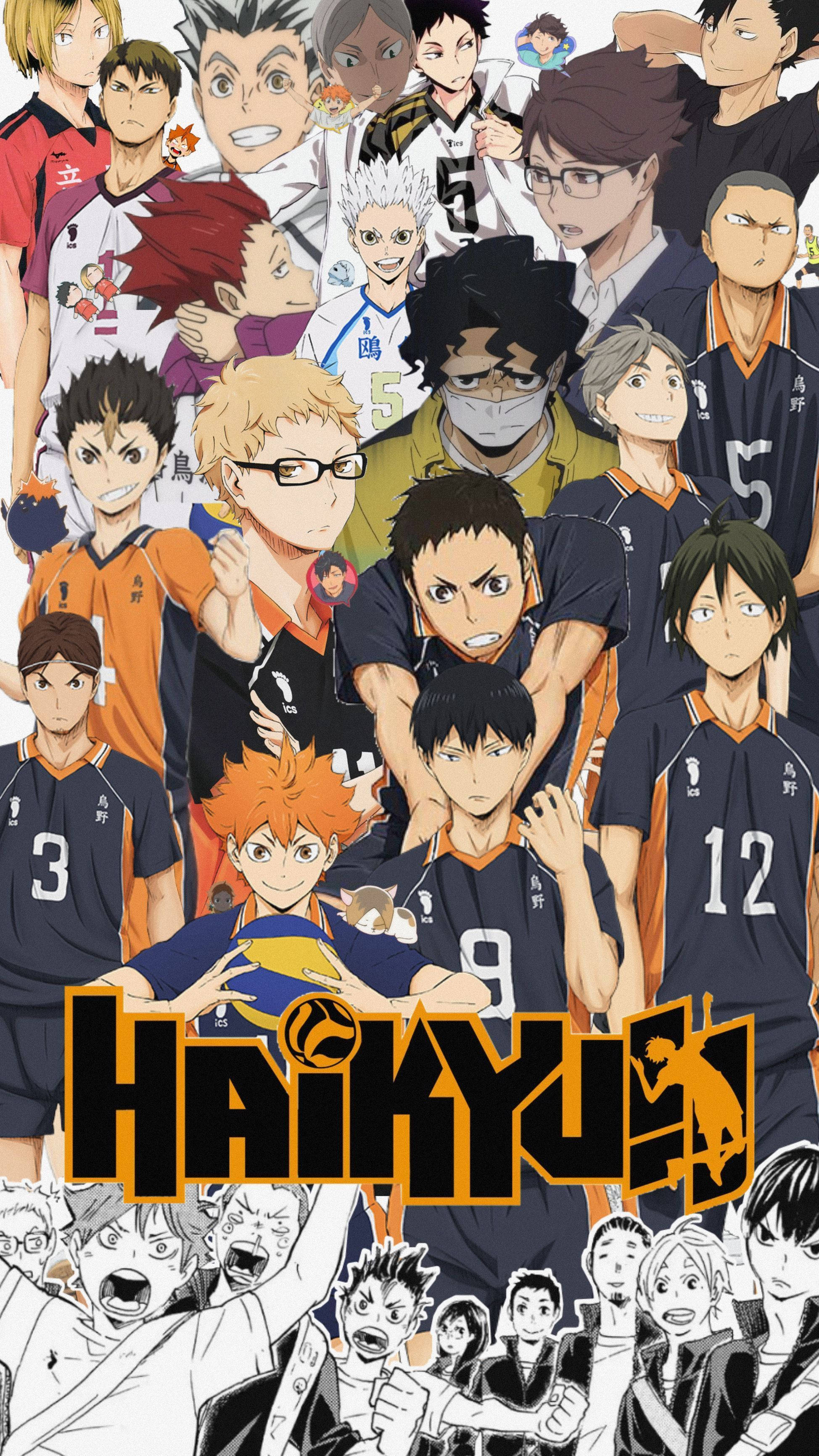 Teams 桌布 壁紙 — 一幅充滿活力的Haikyuu!!排球運動員動漫拼貼畫，展現動態姿勢和團隊制服。