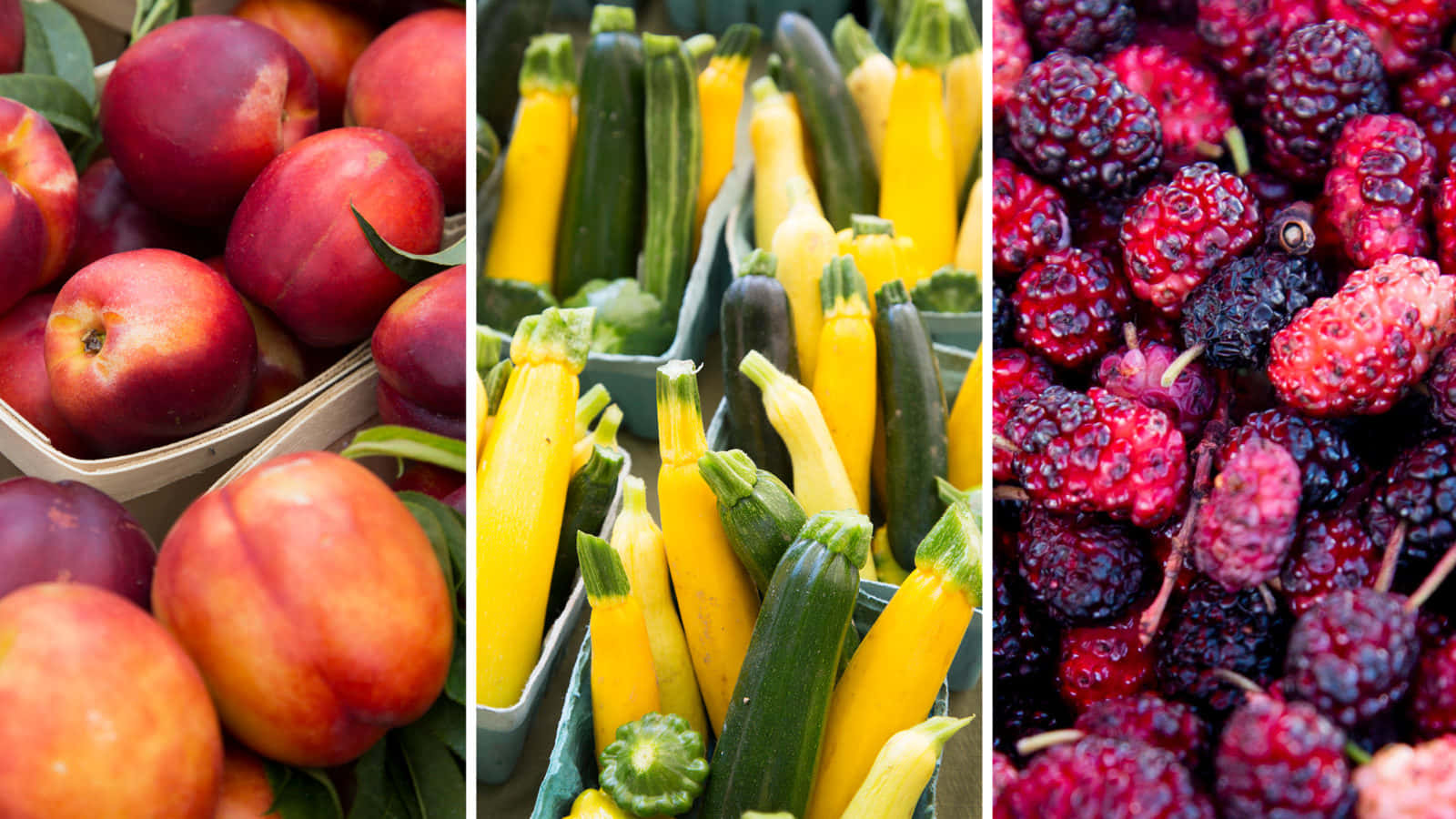 Farmers Market 桌布 壁紙 — 一幅充滿活力的三聯畫，展示成熟的水蜜桃、飽滿的櫛瓜和多汁的桑葚，呈現豐富的秋日色調。