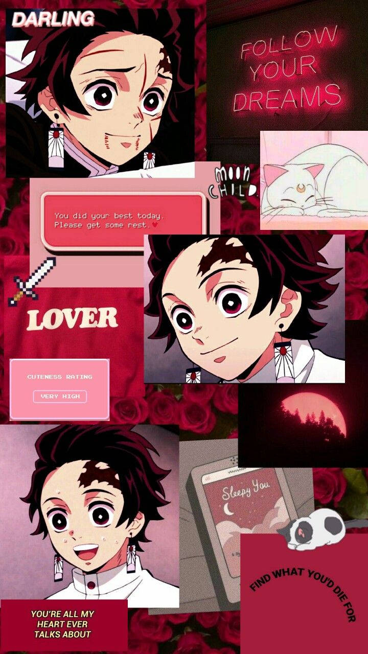 動漫男孩 桌布 壁紙 — 一幅充滿活力的動漫拼貼畫，包含多個紅髮戴耳環男孩的肖像，周圍環繞著粉紅玫瑰、勵志文字和一隻睡著的貓。