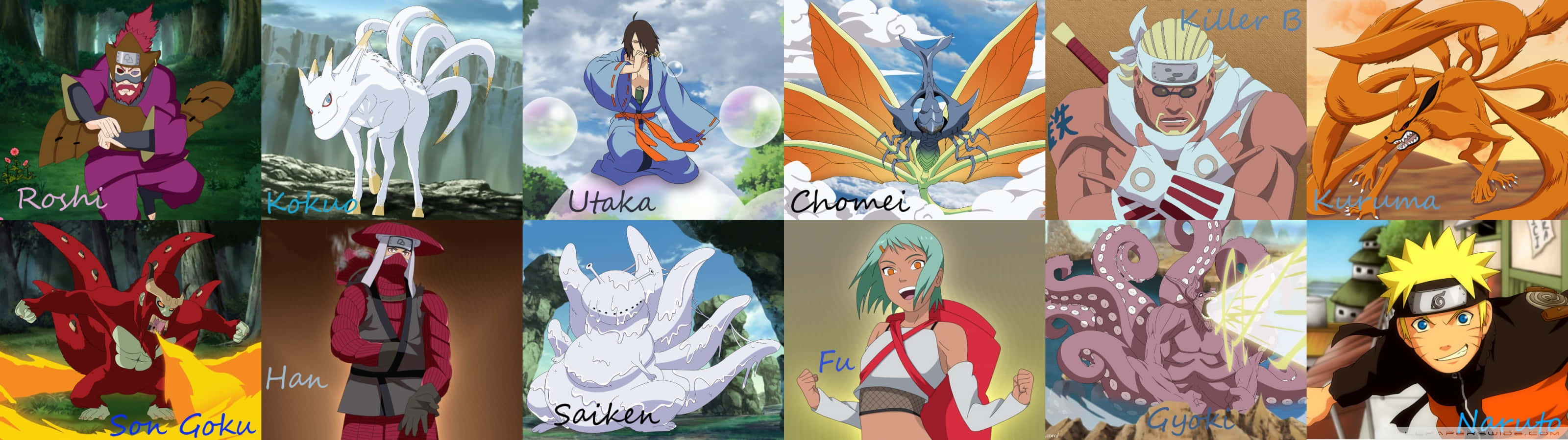 Tailed Beasts 桌布 壁紙 — 一幅充滿活力的動漫角色拼貼畫，來自火影忍者，包括羅希、小一、宇高、長明、殺手B、凱塔瑪、孫悟空、漢、賽肯、風、戈姆和鳴人。