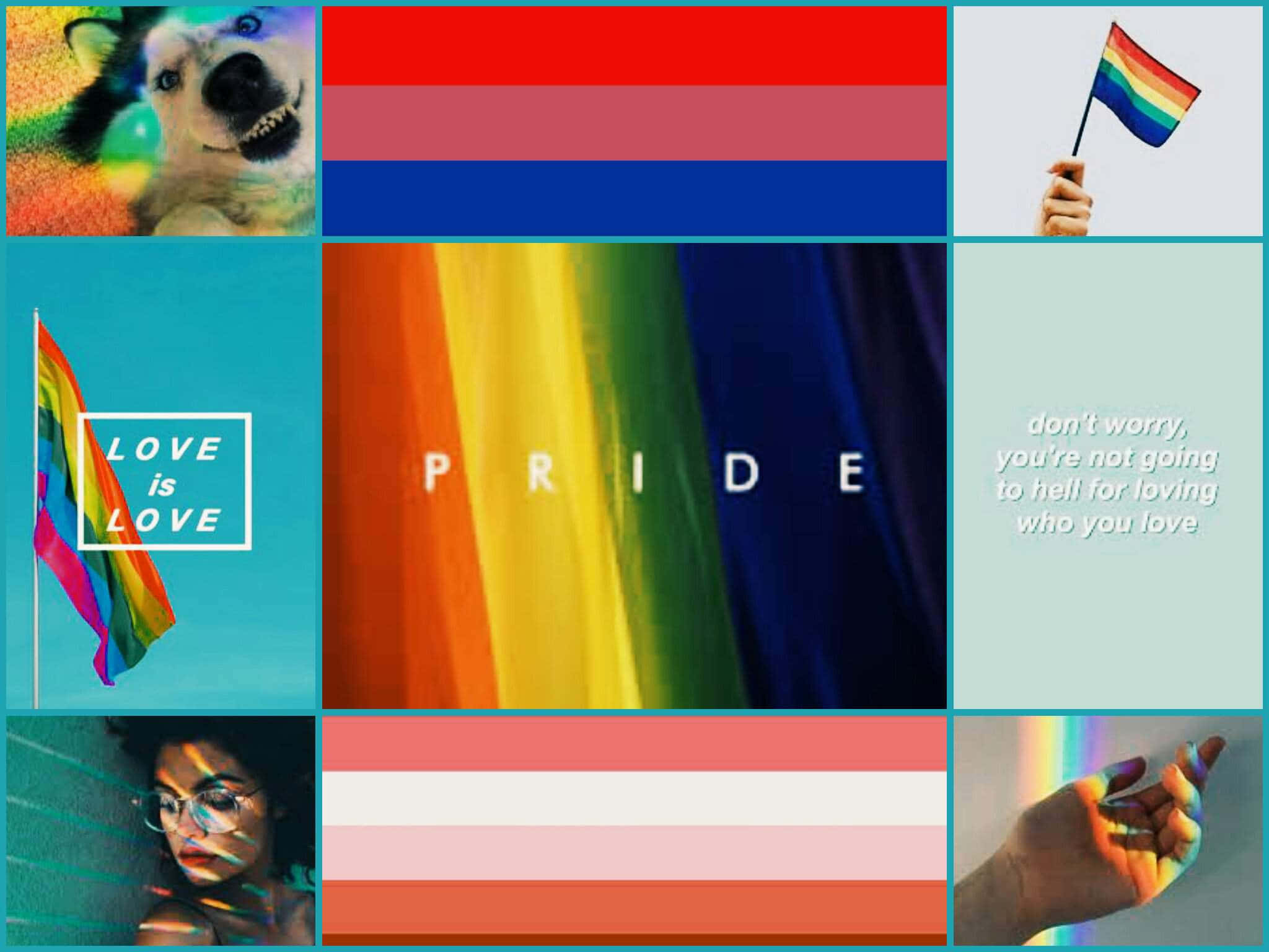 Pride Aesthetic 桌布 壁紙 — 一幅充滿活力的拼貼畫，以彩虹旗、微笑的狗、手持旗幟的手和彩虹光圖案來慶祝驕傲月。