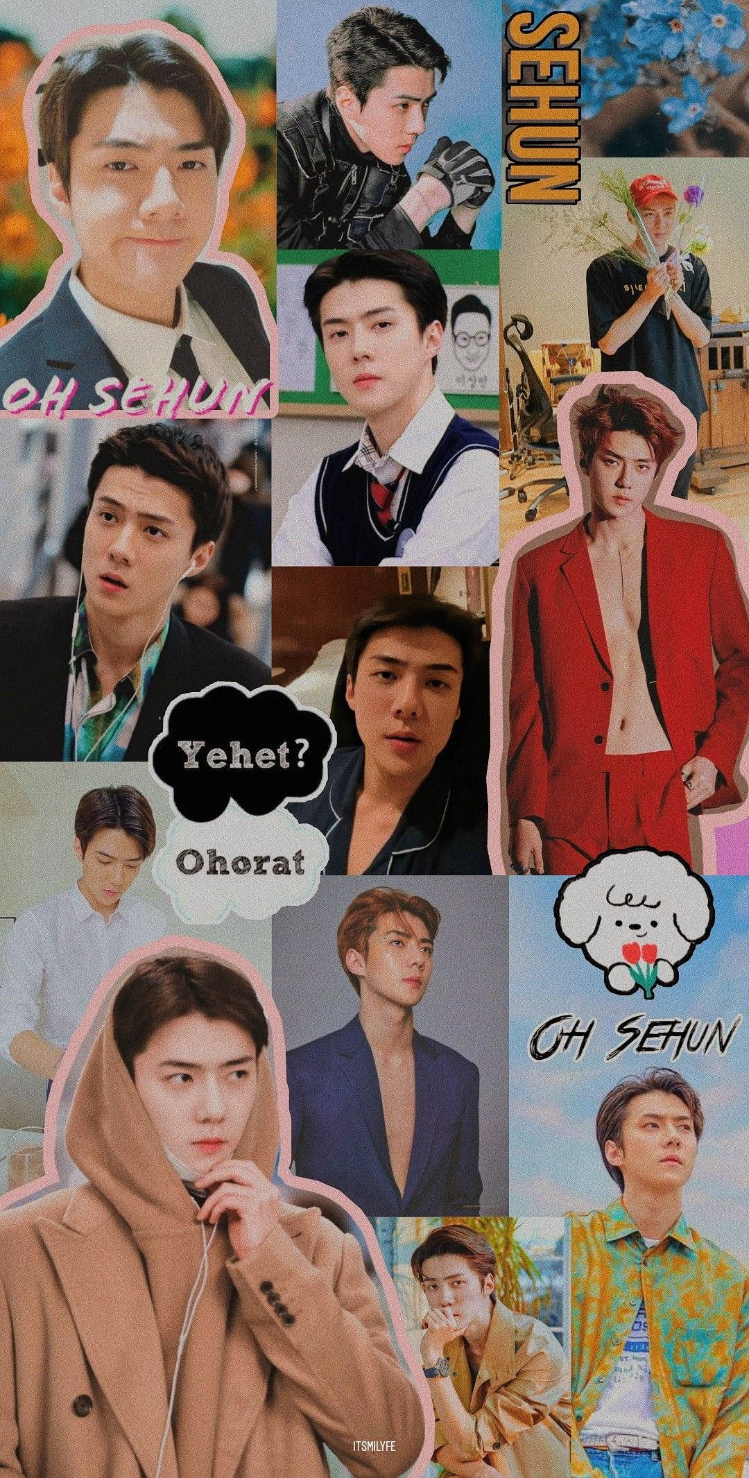 EXO 桌布 壁紙 — 一幅充滿活力的拼貼畫，展示LEE SEHUN在色彩繽紛的場景中穿著各種時尚服裝和富有表現力的姿勢。