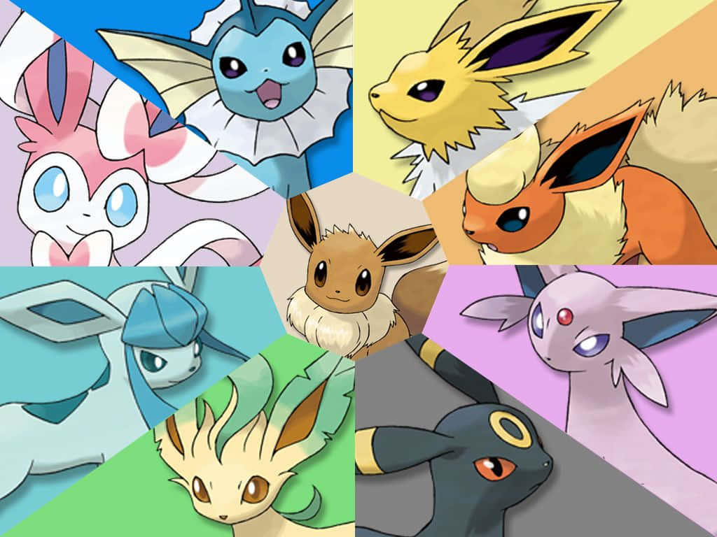 Eeveelutions 桌布 壁紙 — 一幅充滿活力的拼貼畫，展示了七個不同的伊布進化型寶可夢角色，位於色彩繽紛的幾何面板中。