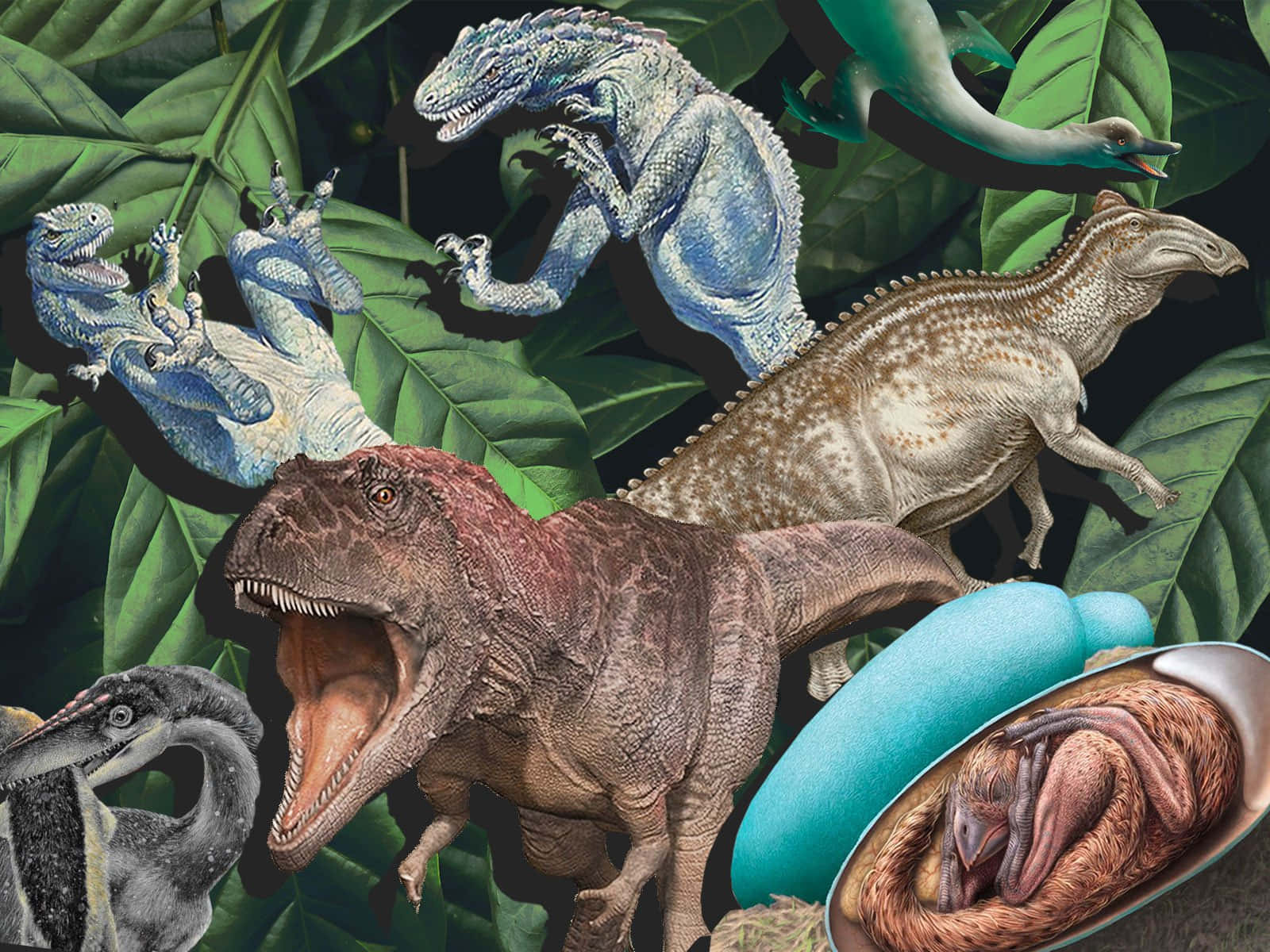 Dino 桌布 壁紙 — 一幅充滿活力的拼貼畫，描繪了多種恐龍和蛋中的恐龍寶寶，周圍環繞著茂密的綠色植物。