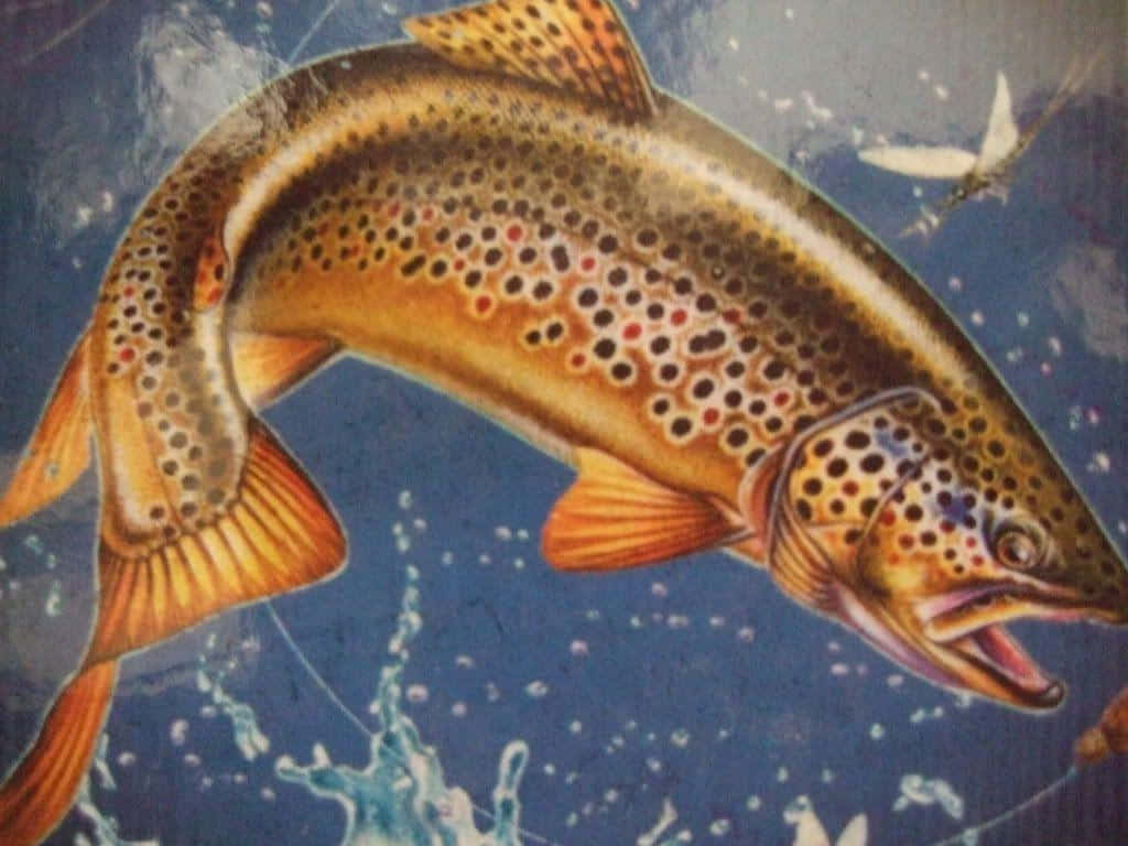 Brown Trout 桌布 壁紙 — 一幅充滿活力的插圖，描繪一條褐鱒從深藍色水中躍起，帶有橙色魚鰭和斑點鱗片。