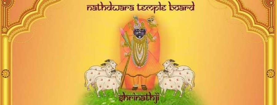 Shrinathji 桌布 壁紙 — 一幅充滿活力的插圖，描繪了Shrinathji勳爵威嚴地站在綠色草地上，身後是金黃色的華麗背景，身旁有四隻白色的山羊。