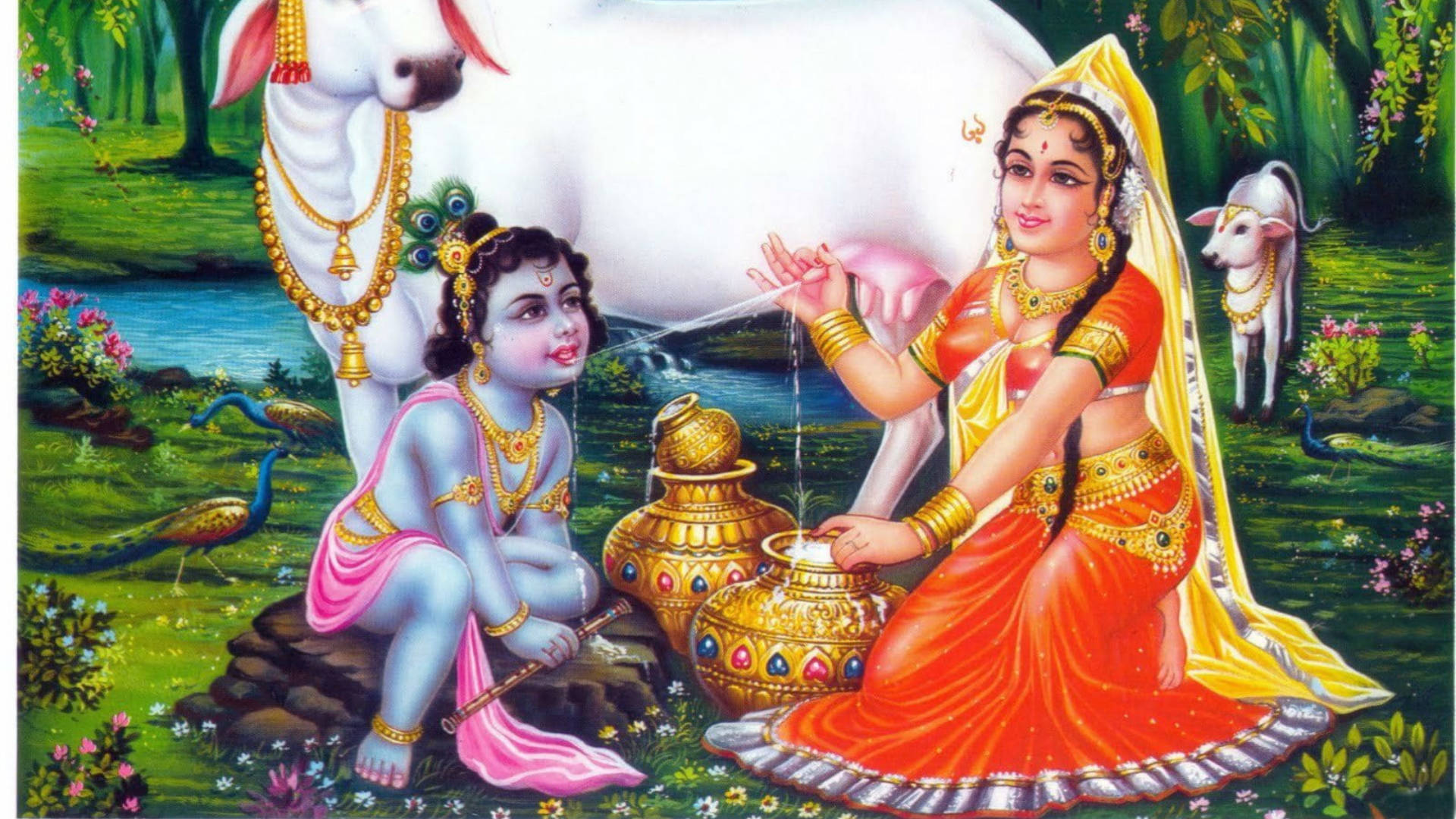 little krishna HD 桌布 壁紙 — 一幅充滿活力的插圖場景，描繪克里希納神和拉達在茂盛的花園中，與孔雀和牛一起，將牛奶倒入金色罐子。