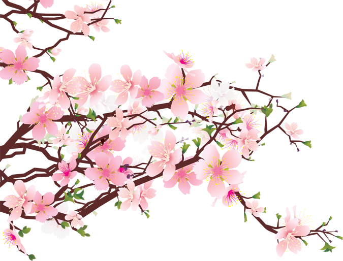 櫻花樹 桌布 壁紙 — 一幅充滿活力的數位插圖，描繪盛開的櫻花，帶有柔和的粉紅色花瓣和綠色葉子，背景風格化。