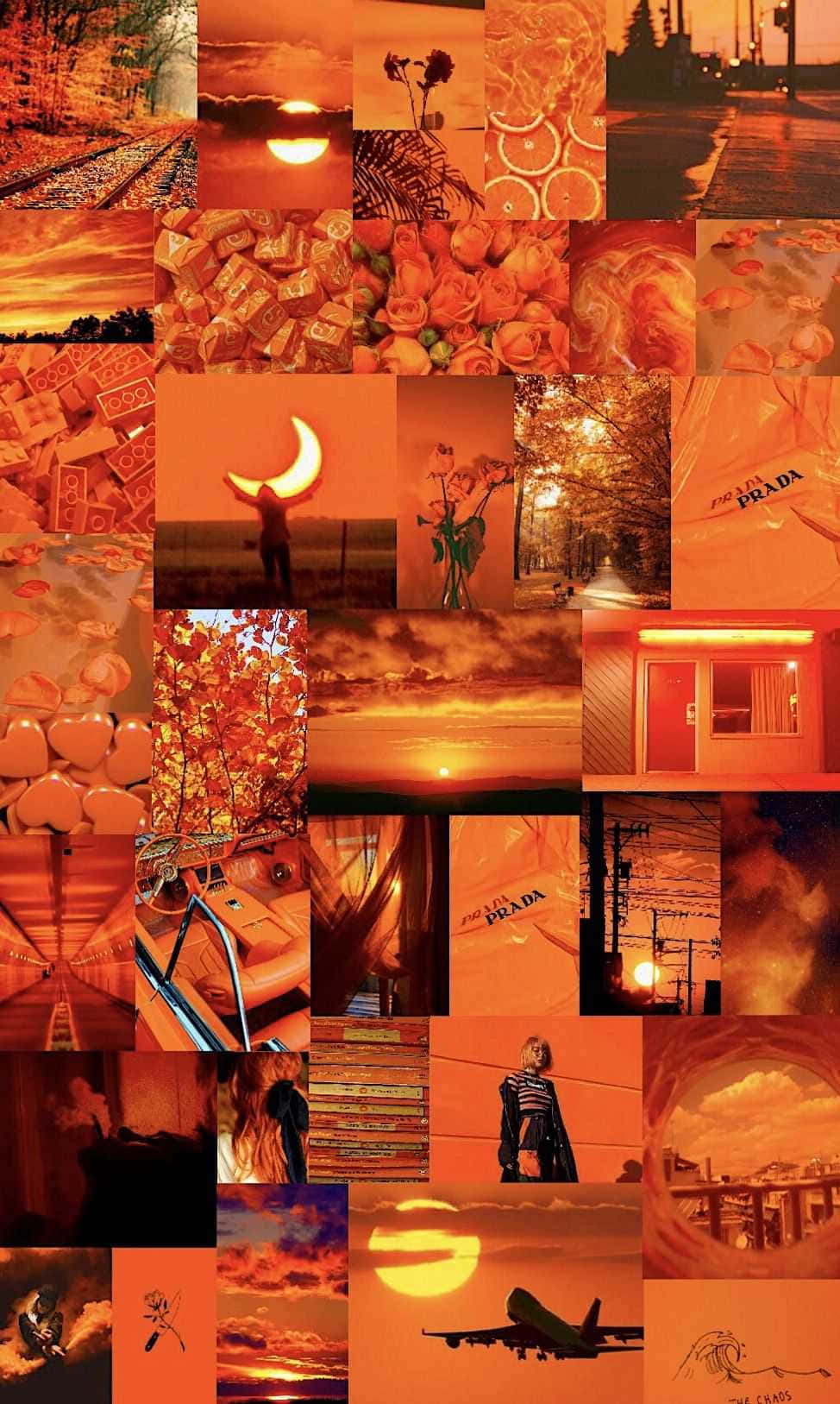 Orange Aesthetic Phone 桌布 壁紙 — 一幅充滿活力的橙色調拼貼畫，融合了日落場景、玫瑰、時尚和城市元素，並以溫暖的單色濾鏡統一。
