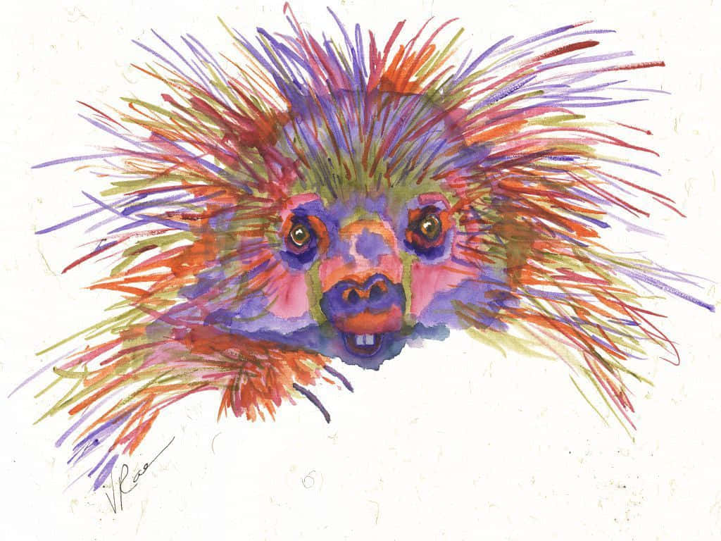catatonic 桌布 壁紙 — 一幅充滿活力的水彩畫，描繪一隻豪豬，其多色尖刺在純白色背景上向外放射。