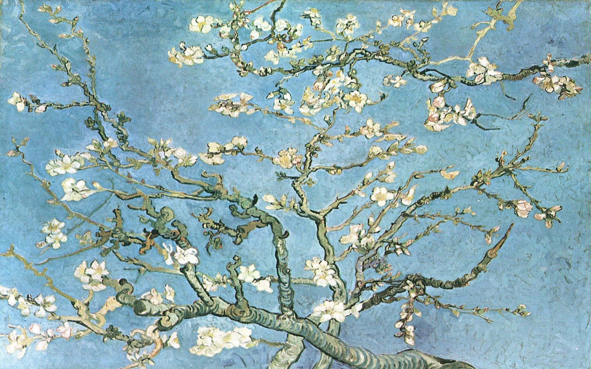 Impressionism 桌布 壁紙 — 一幅充滿活力的油畫，描繪了杏仁樹枝上盛開的白色花朵，背景是紋理豐富的藍天。