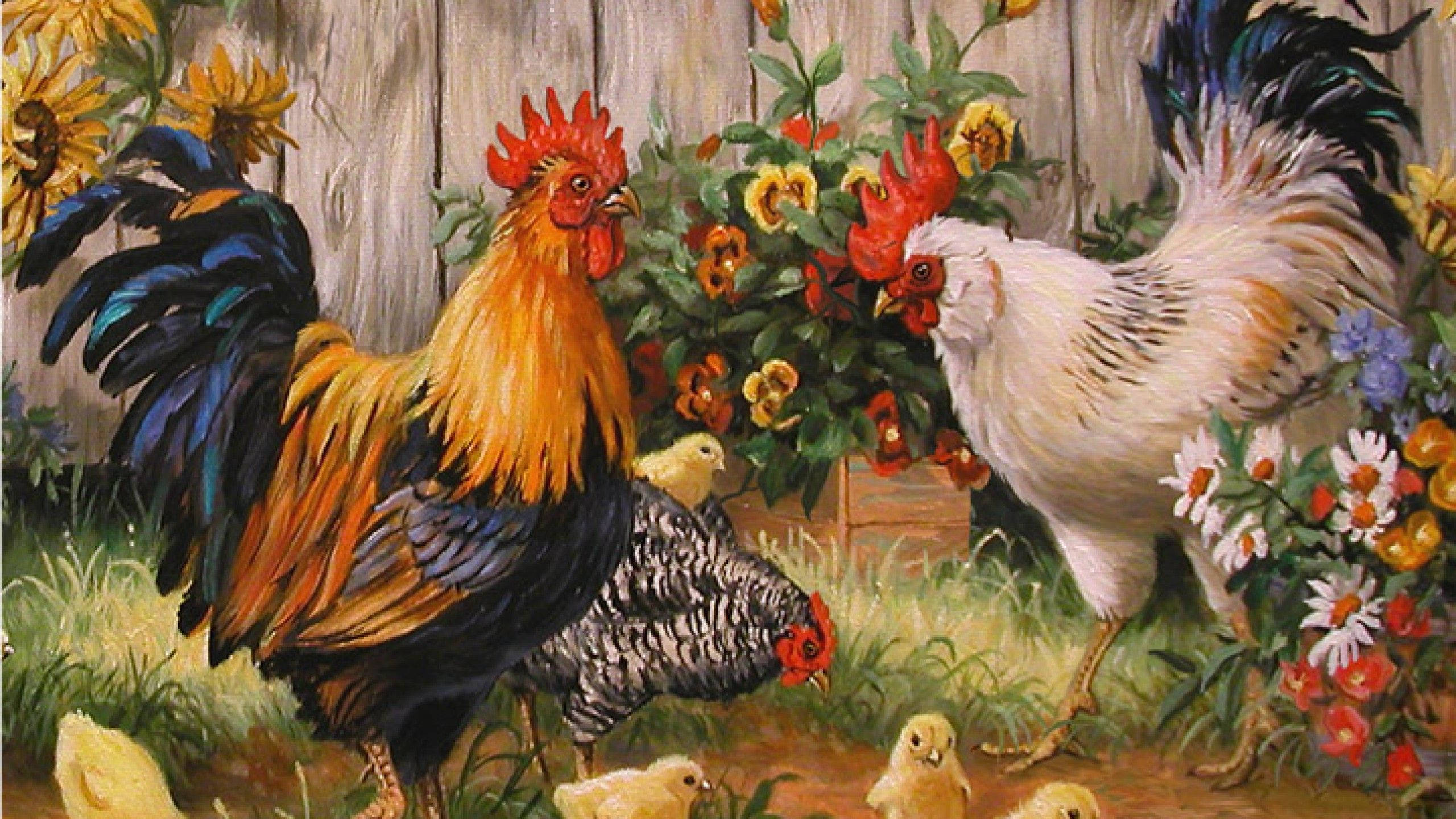 Chicken 桌布 壁紙 — 一幅充滿活力的油畫，描繪了色彩繽紛的雞和小雞在木柵欄附近的向日葵和野花中覓食。